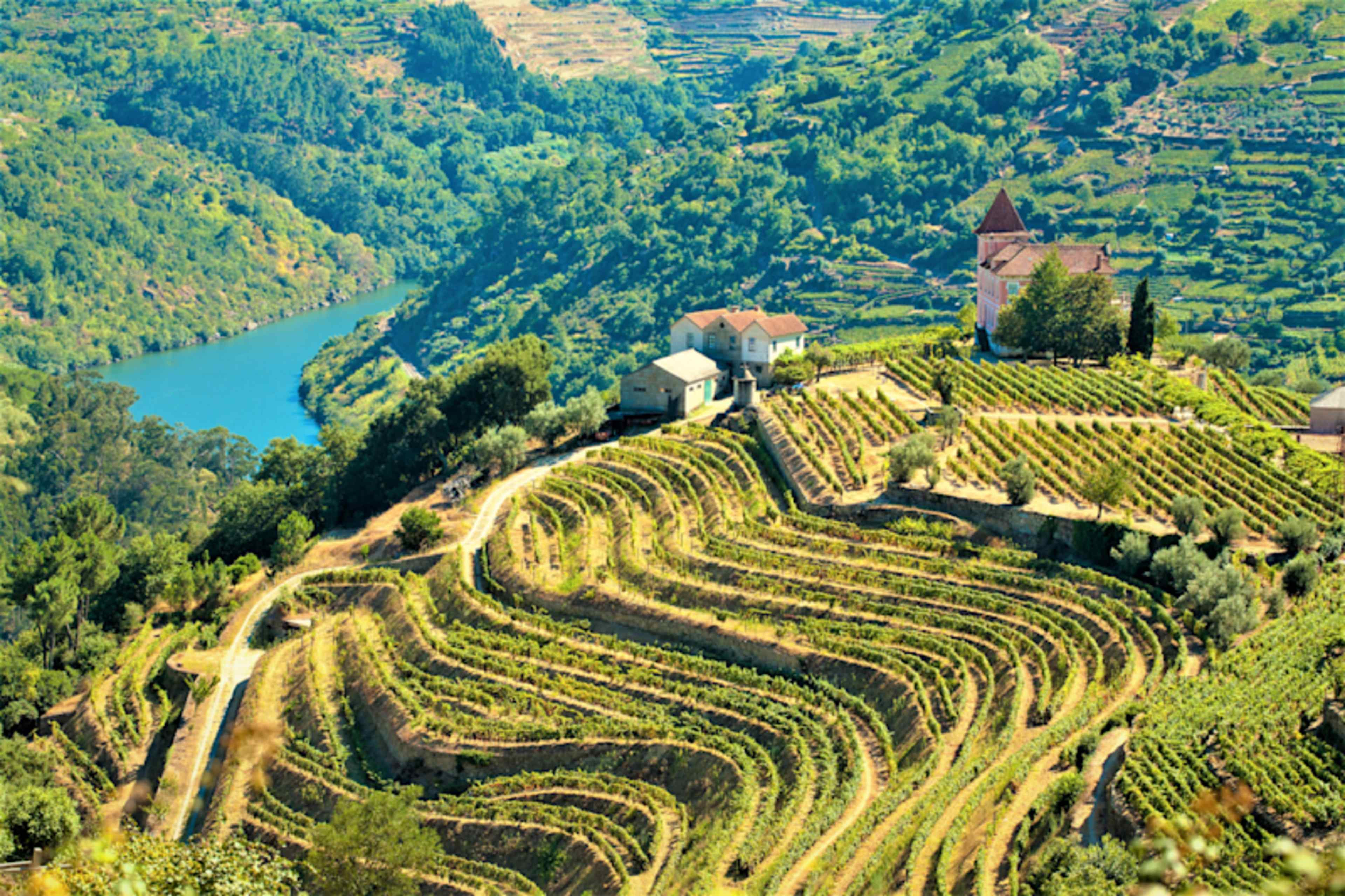 Portugal Cultural Journey & Douro River Cruise  photo 2