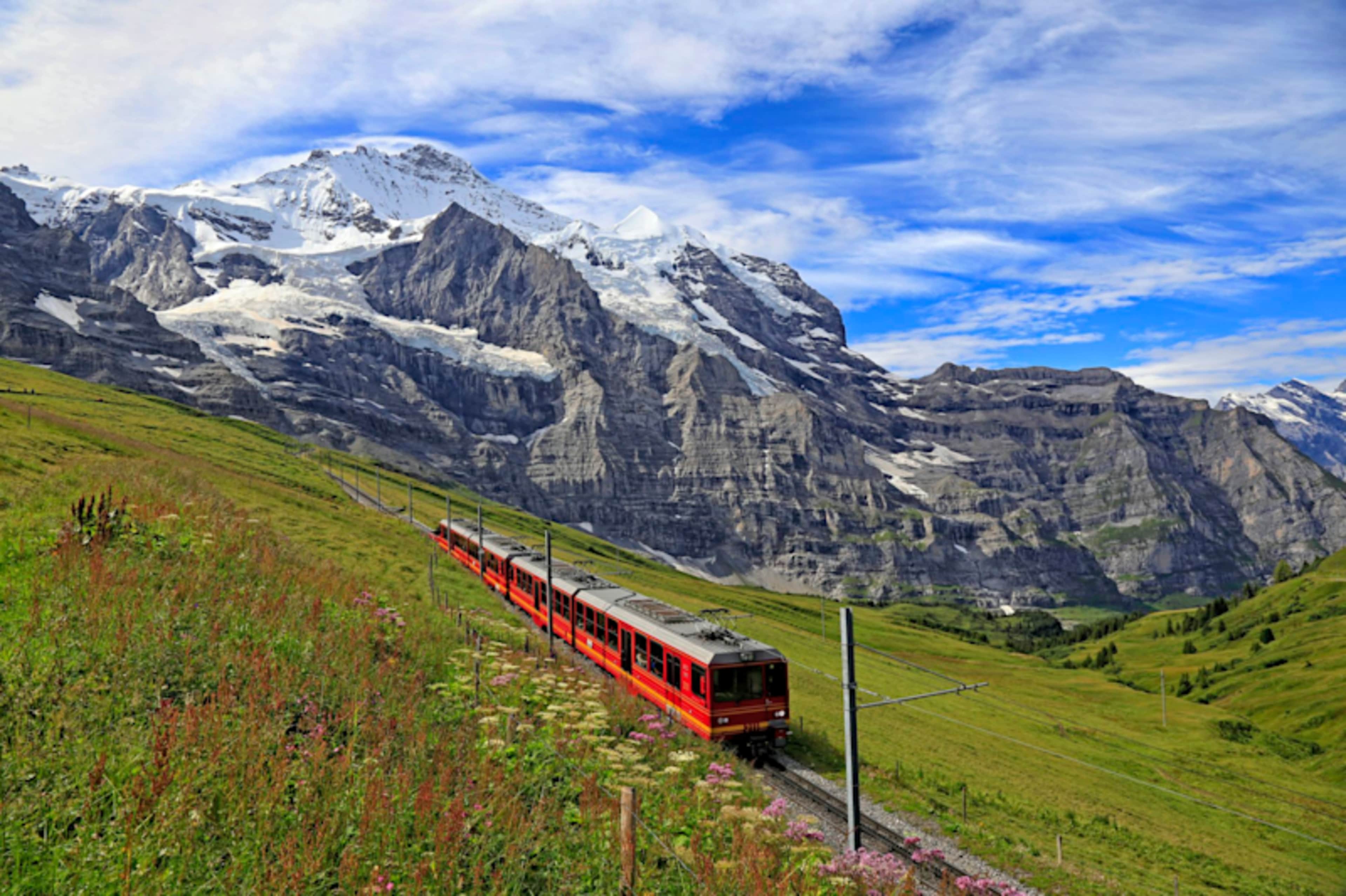 Belgium and Swiss Highlights, Tulips & Rhine Splendor photo 3