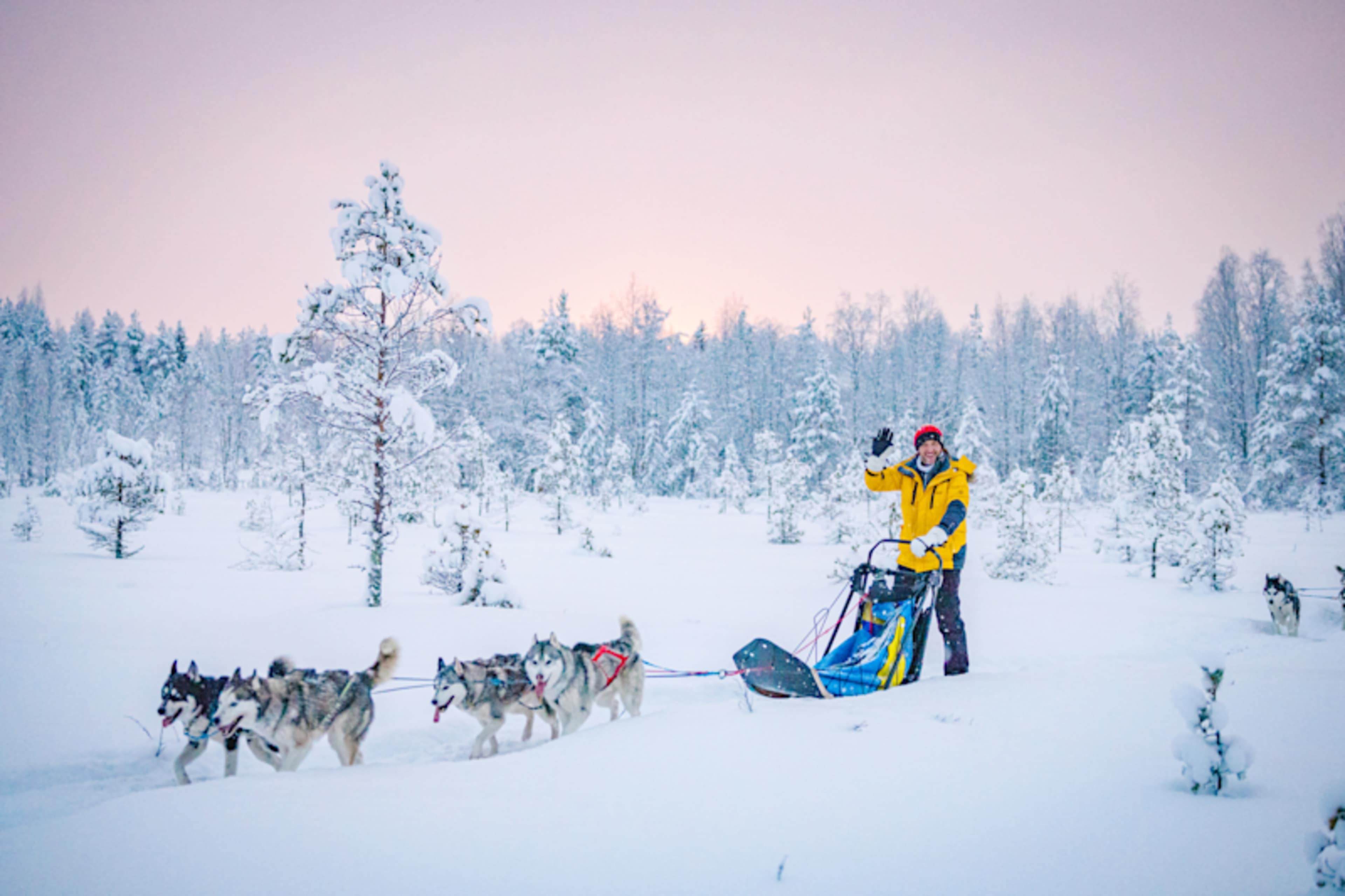 Lapland Winter Wonderland photo 1