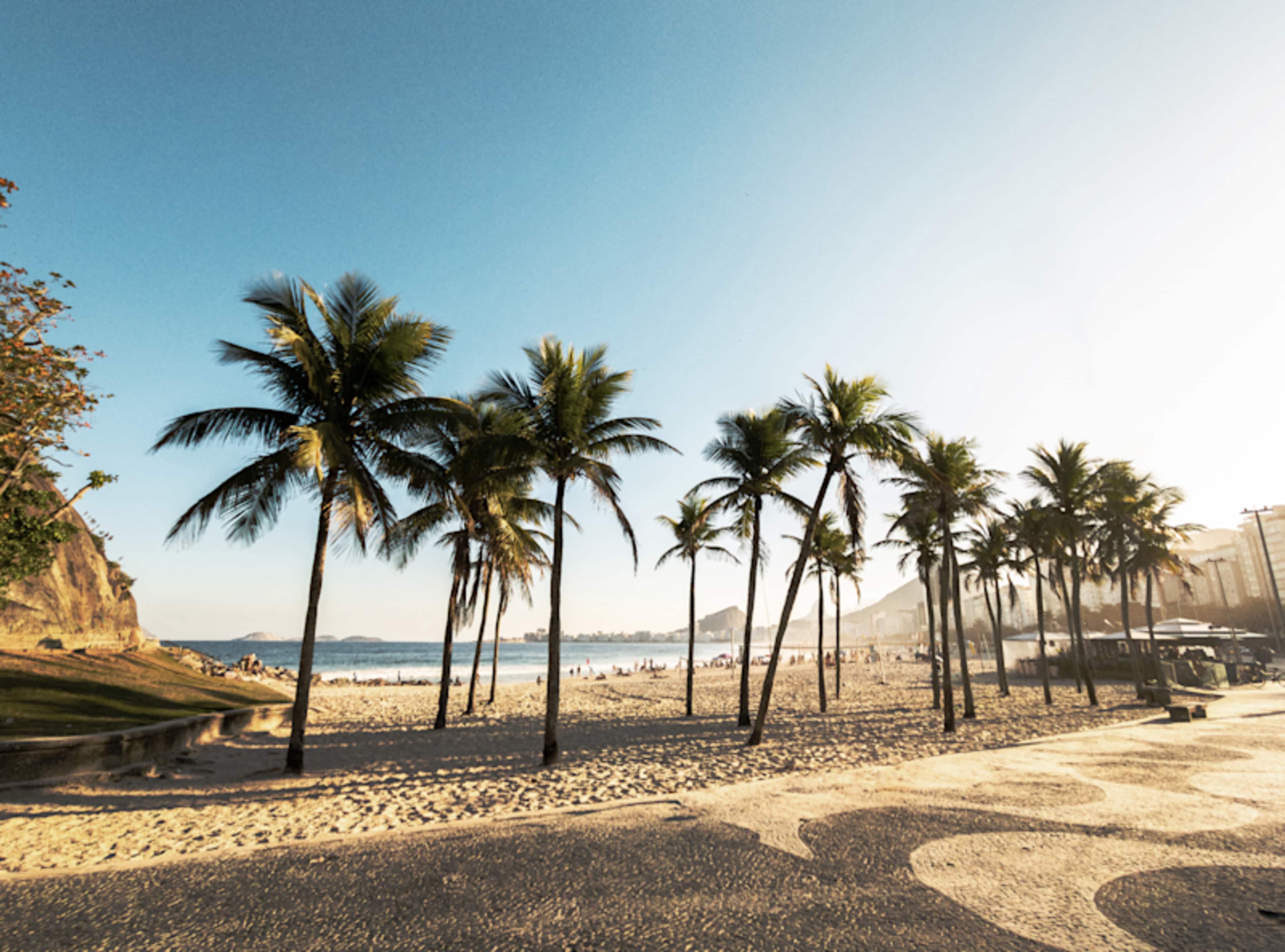 Brazil Signature photo 2