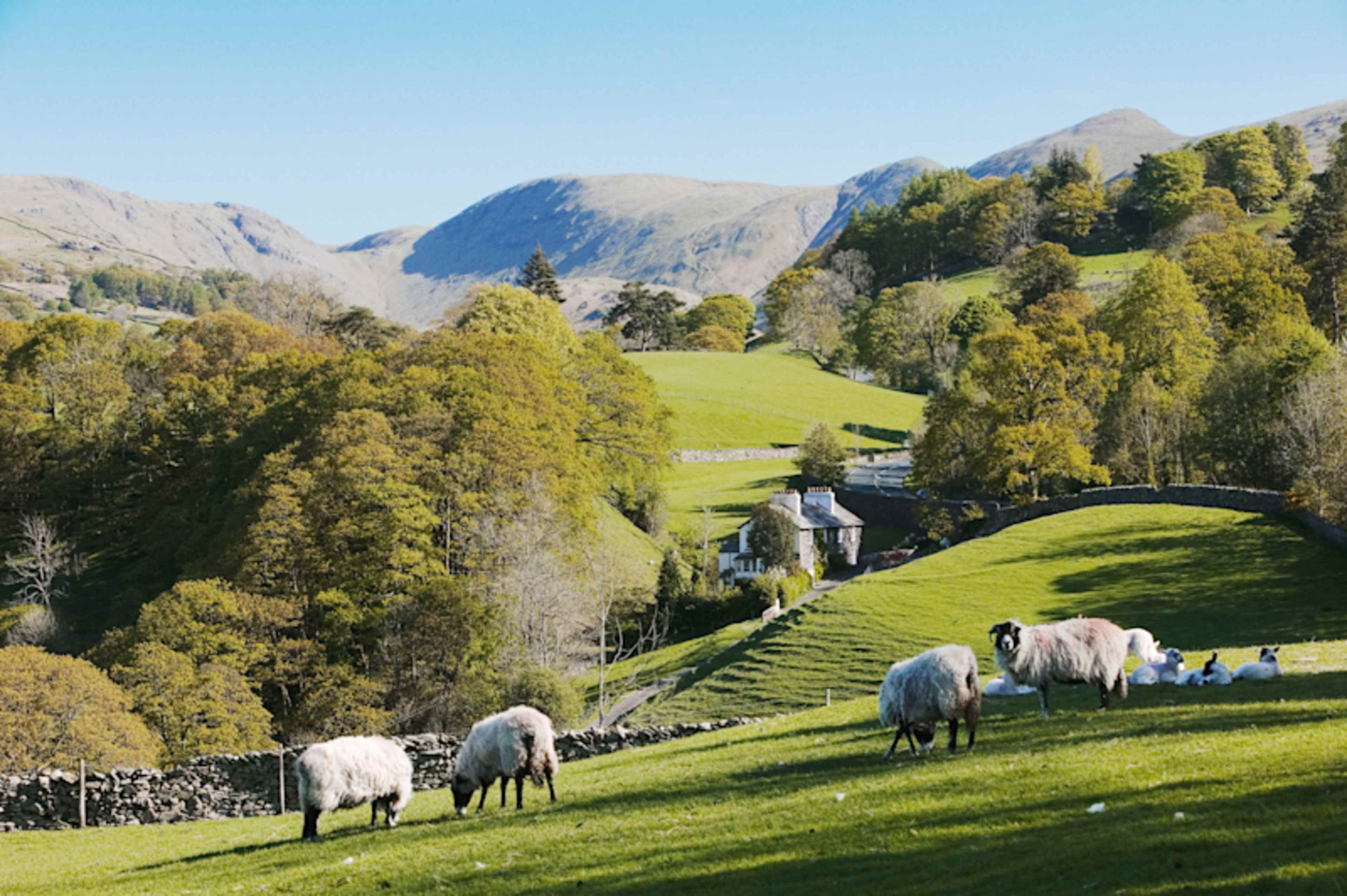England In-Depth: Historic Cities & Countryside Charm photo 1