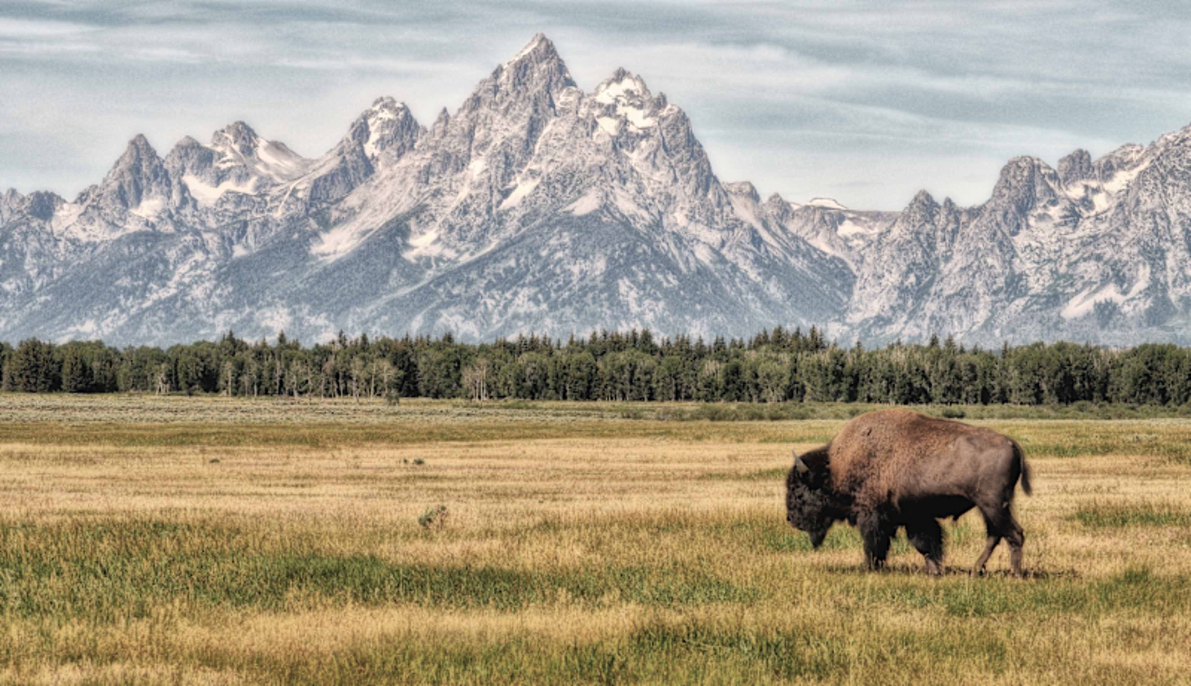 Grand Teton & Yellowstone Signature photo 1