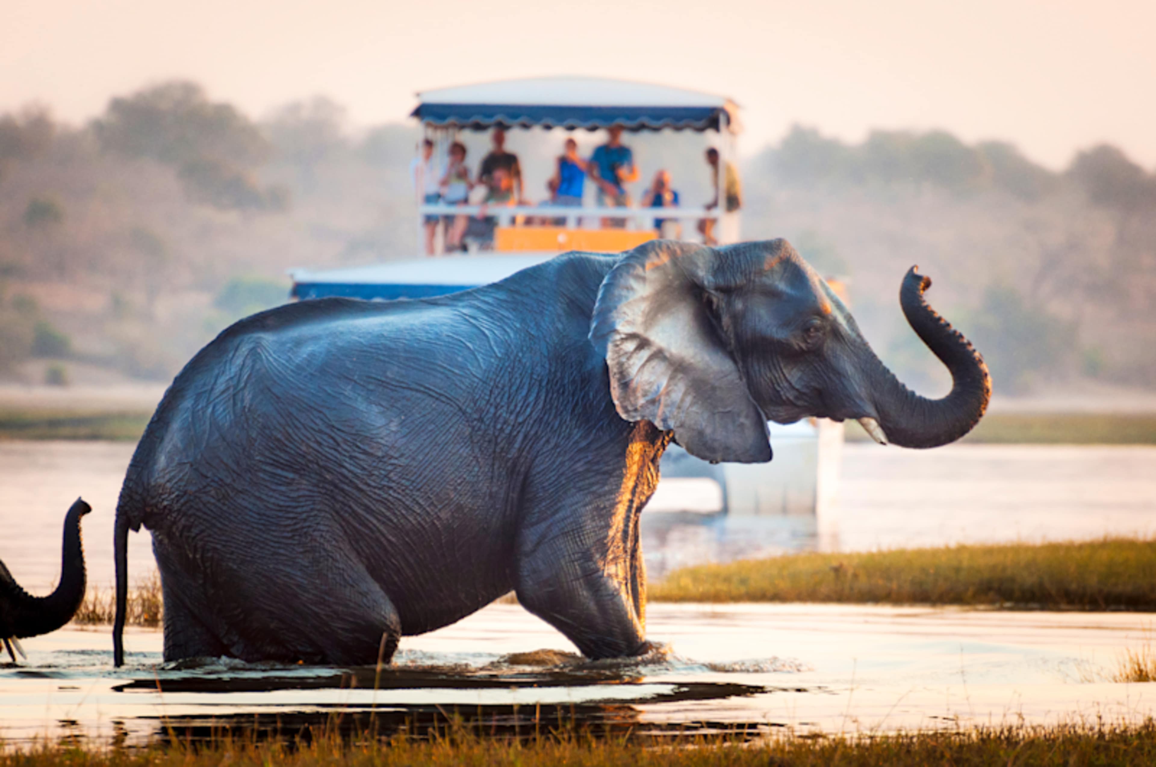 Victoria Falls & Africa's Elephant Kingdoms photo 1