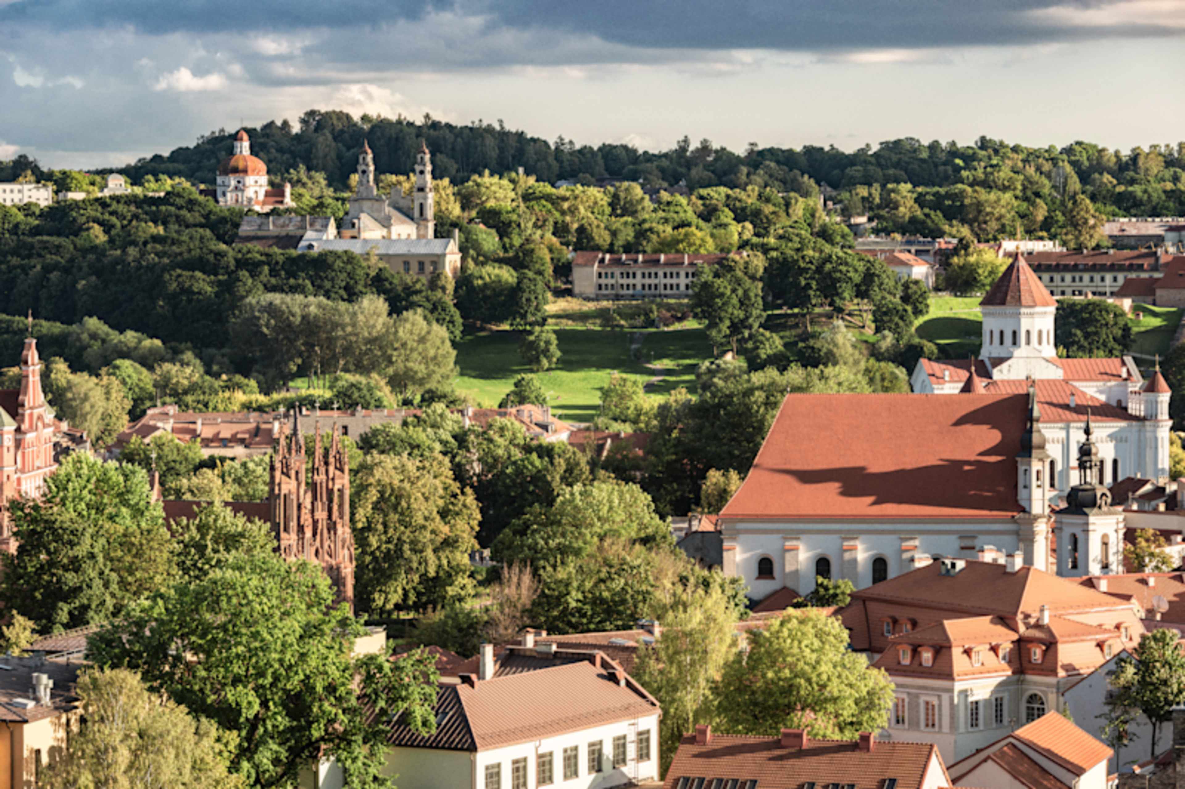 Baltics in Depth  photo 3