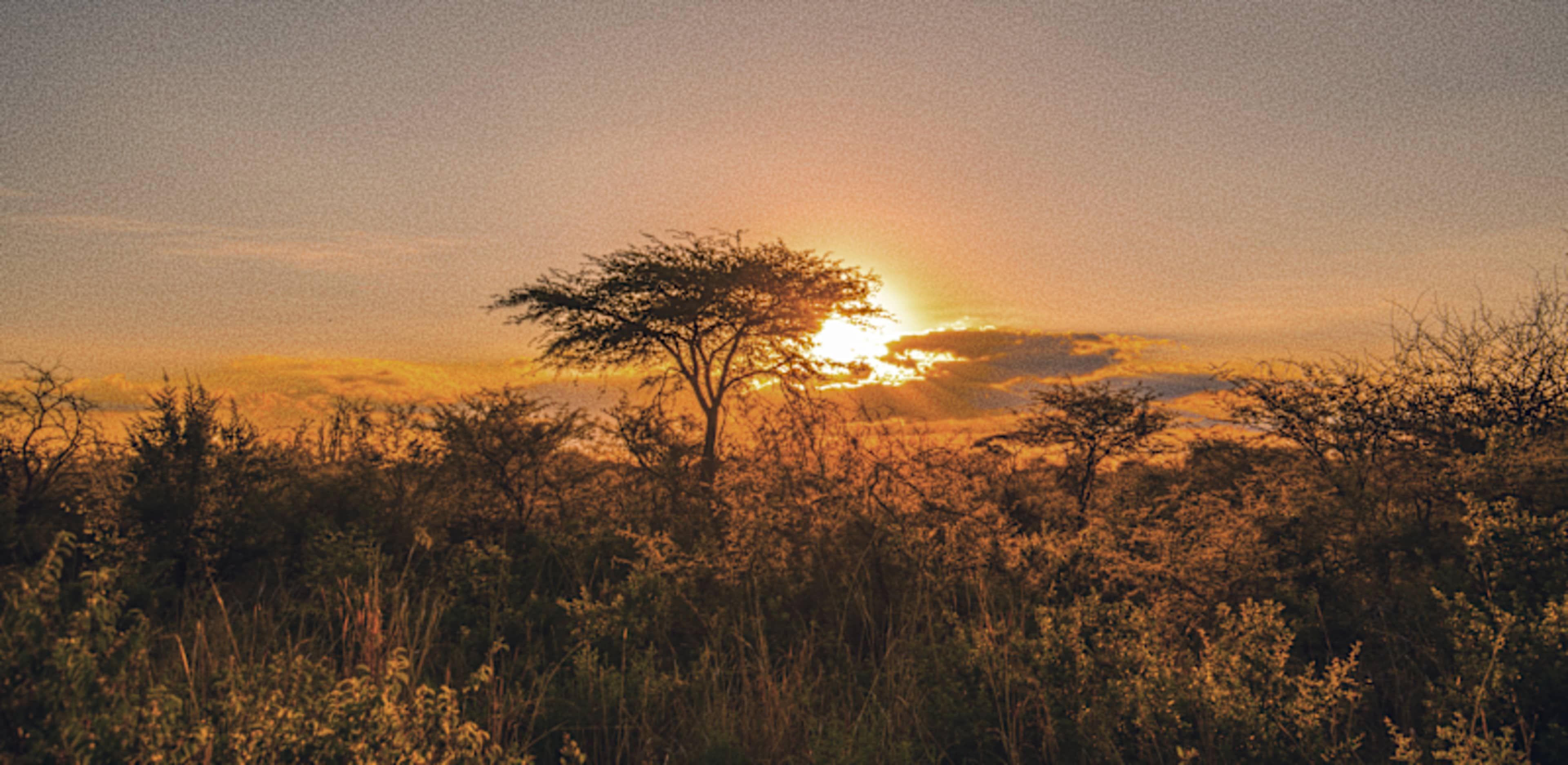 Victoria Falls & Africa's Elephant Kingdoms photo 3