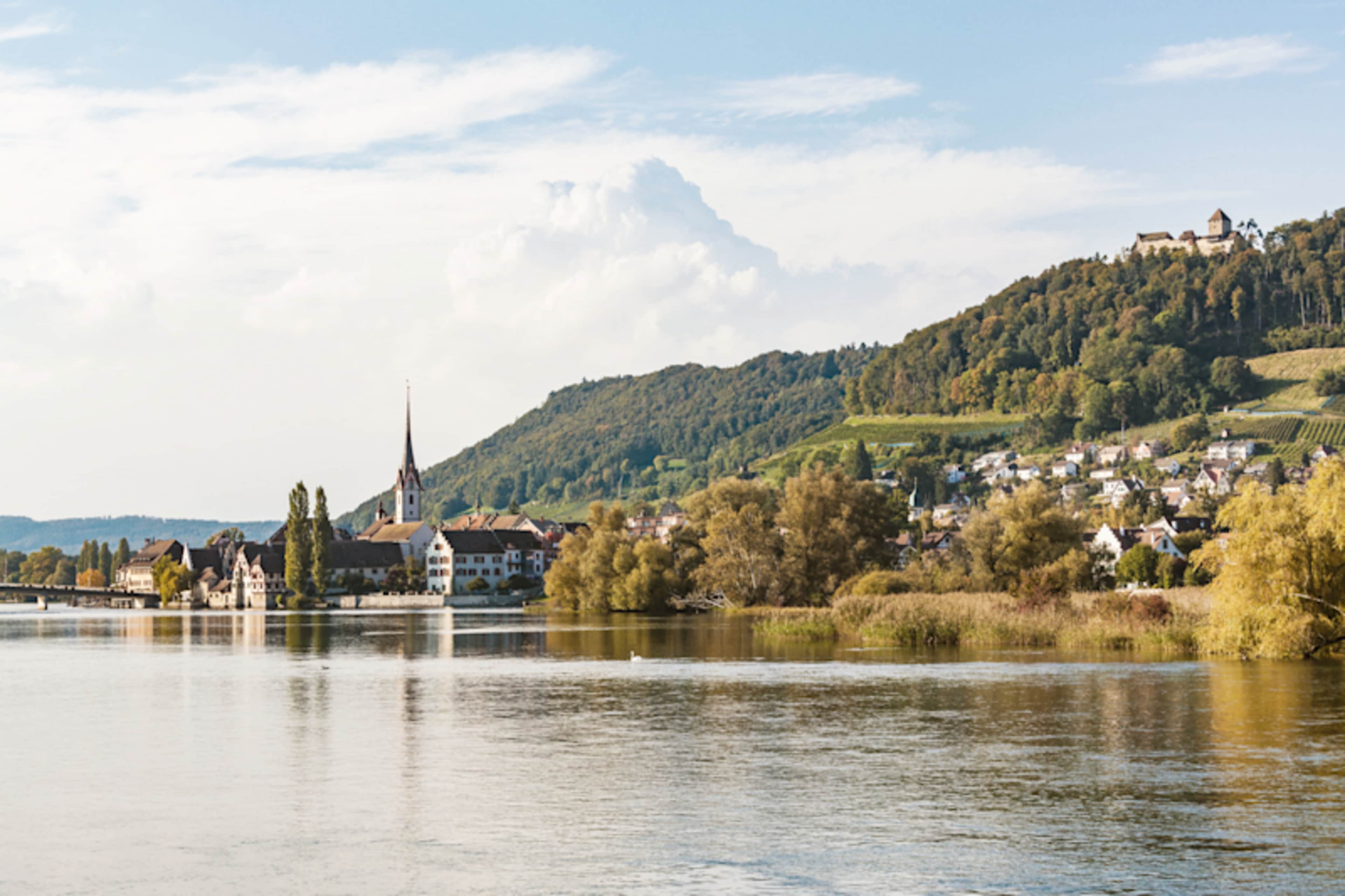 Rhine and Swiss Highlights photo 1