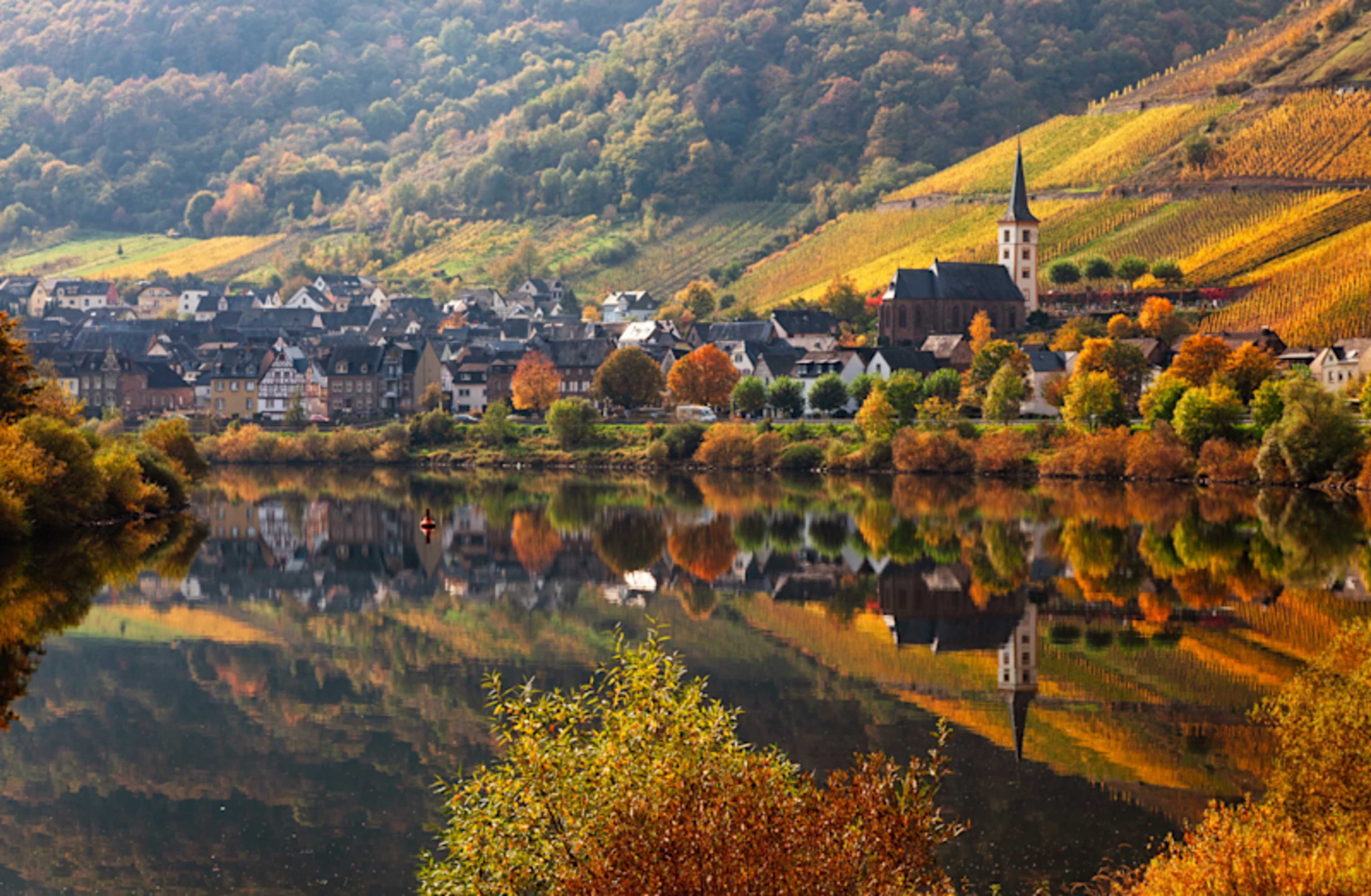 Sailing the Splendors of the Rhine & Moselle photo 1