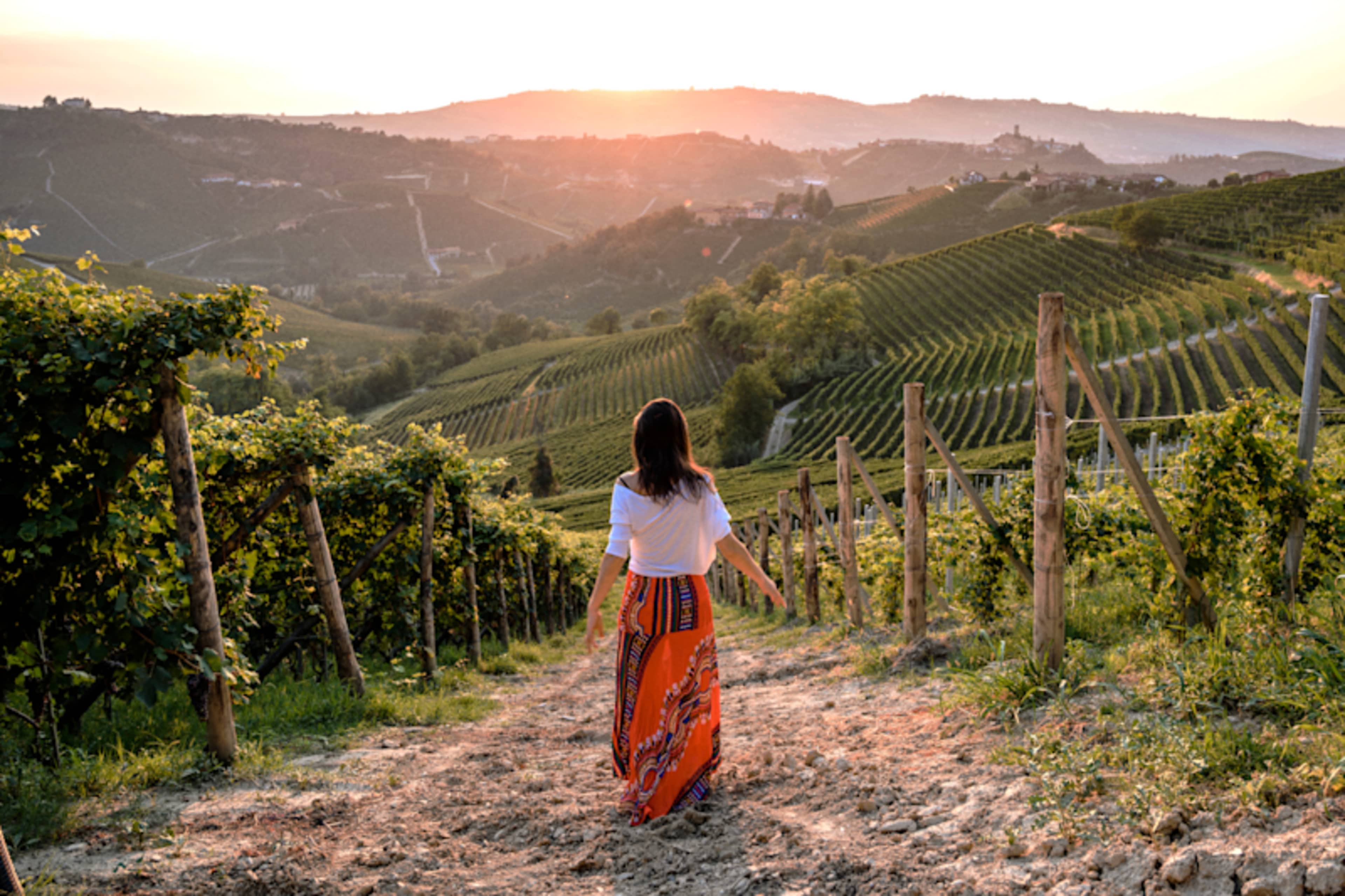 The Flavors of Tuscany photo 1