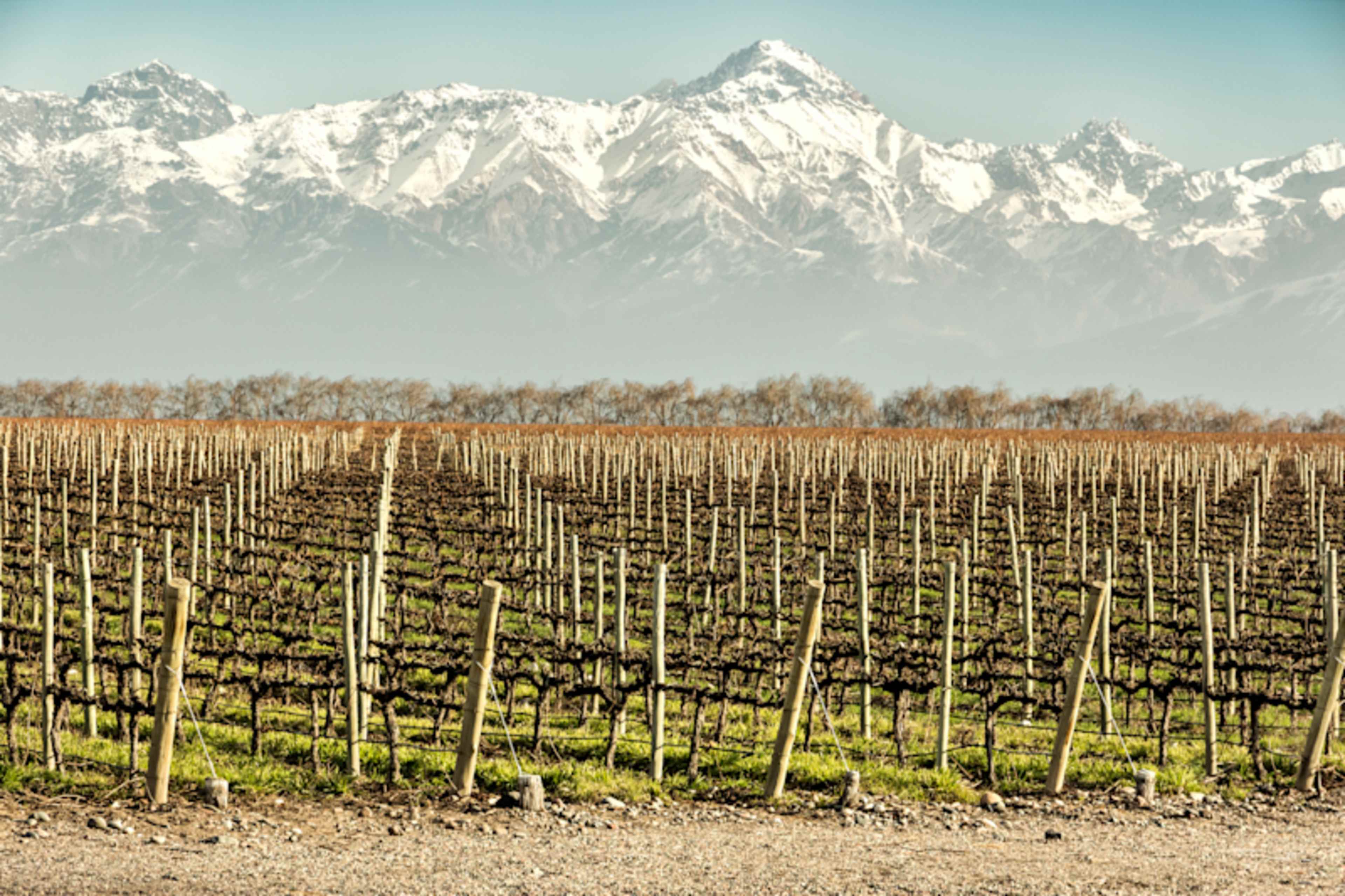 Ski the Andes: From Patagonian Slopes to Chilean Peaks photo 3