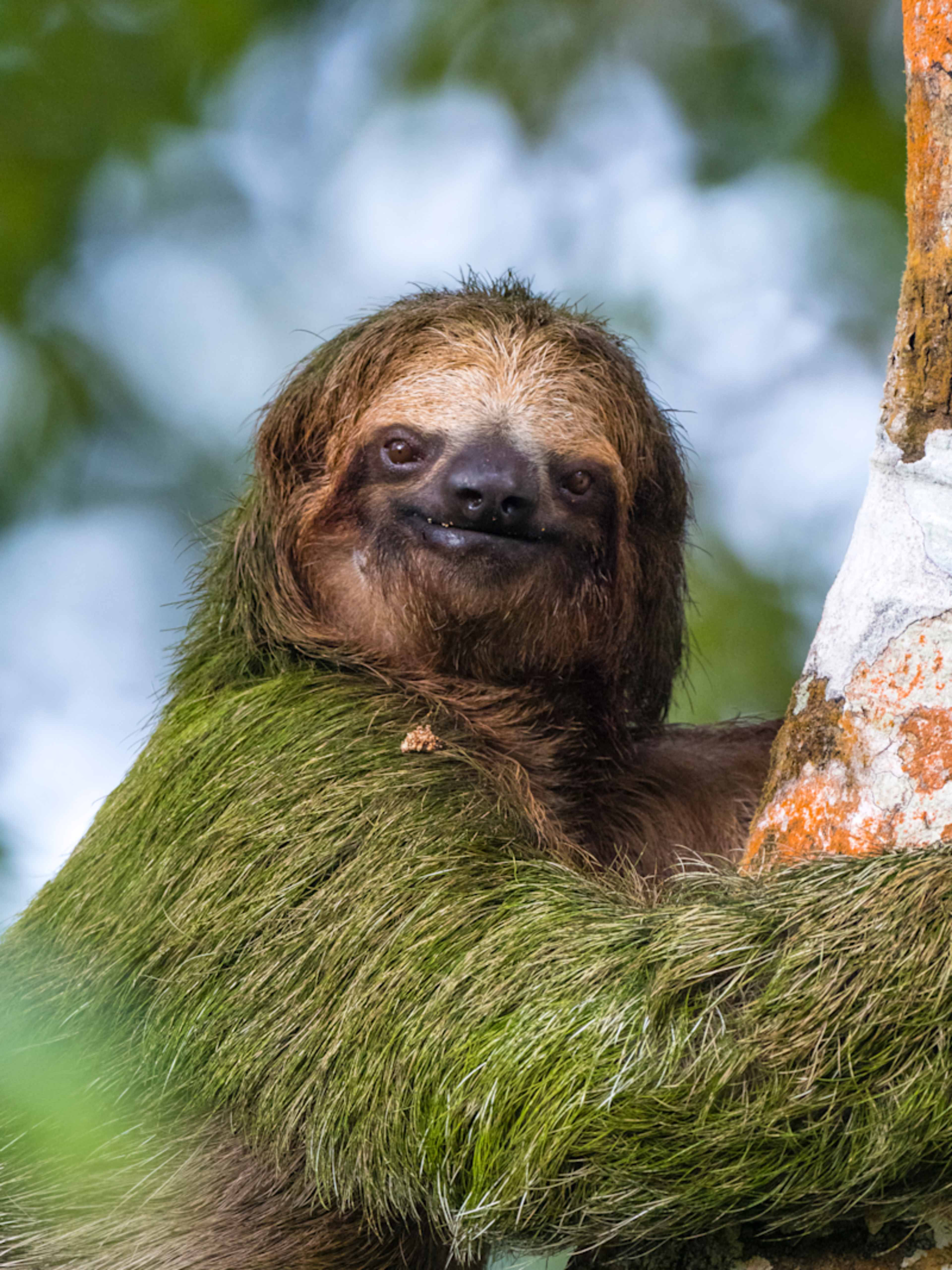 Costa Rica Family Adventure photo 2