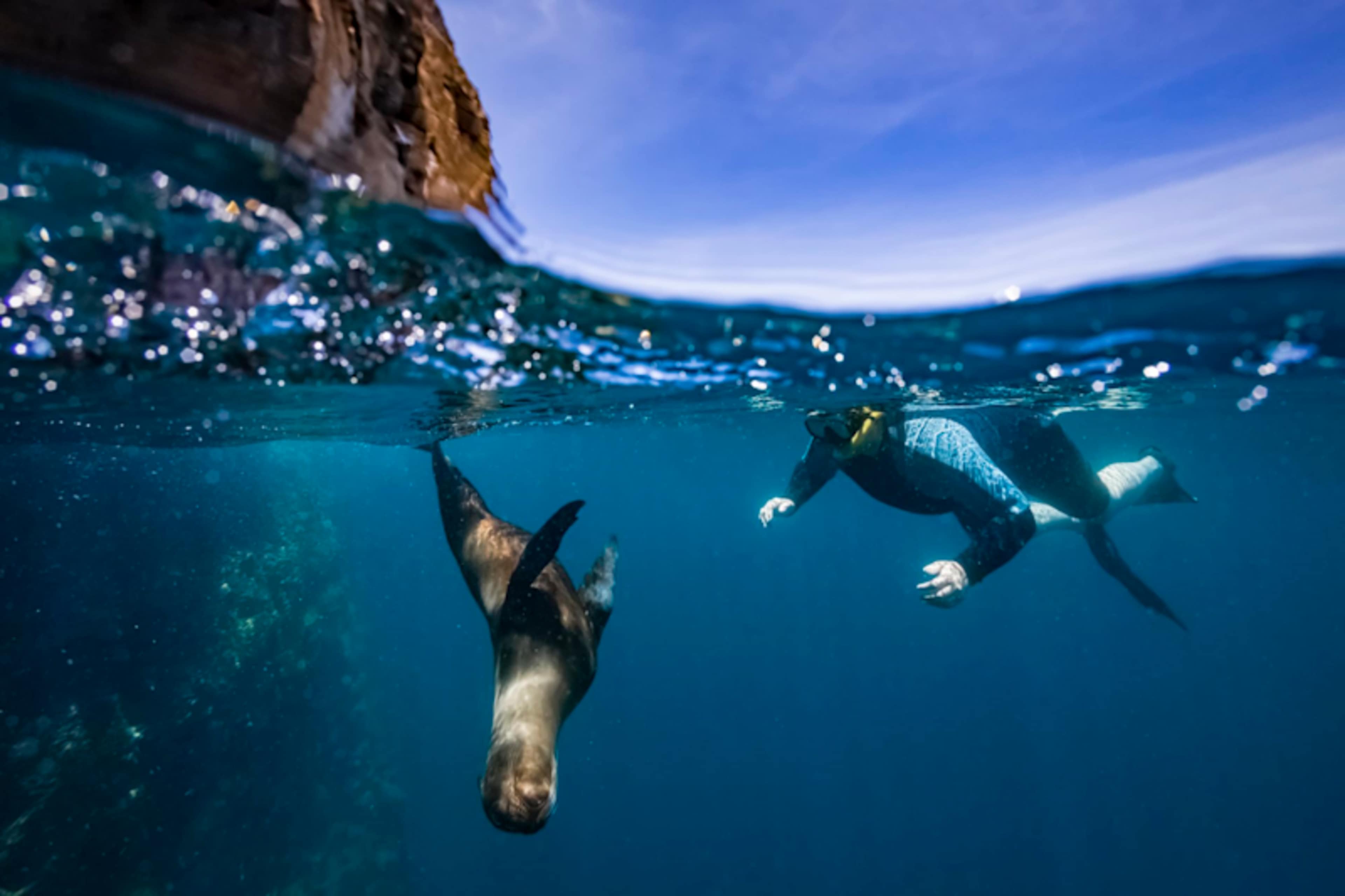 Galapagos Cruise & Machu Picchu Highlights  photo 1