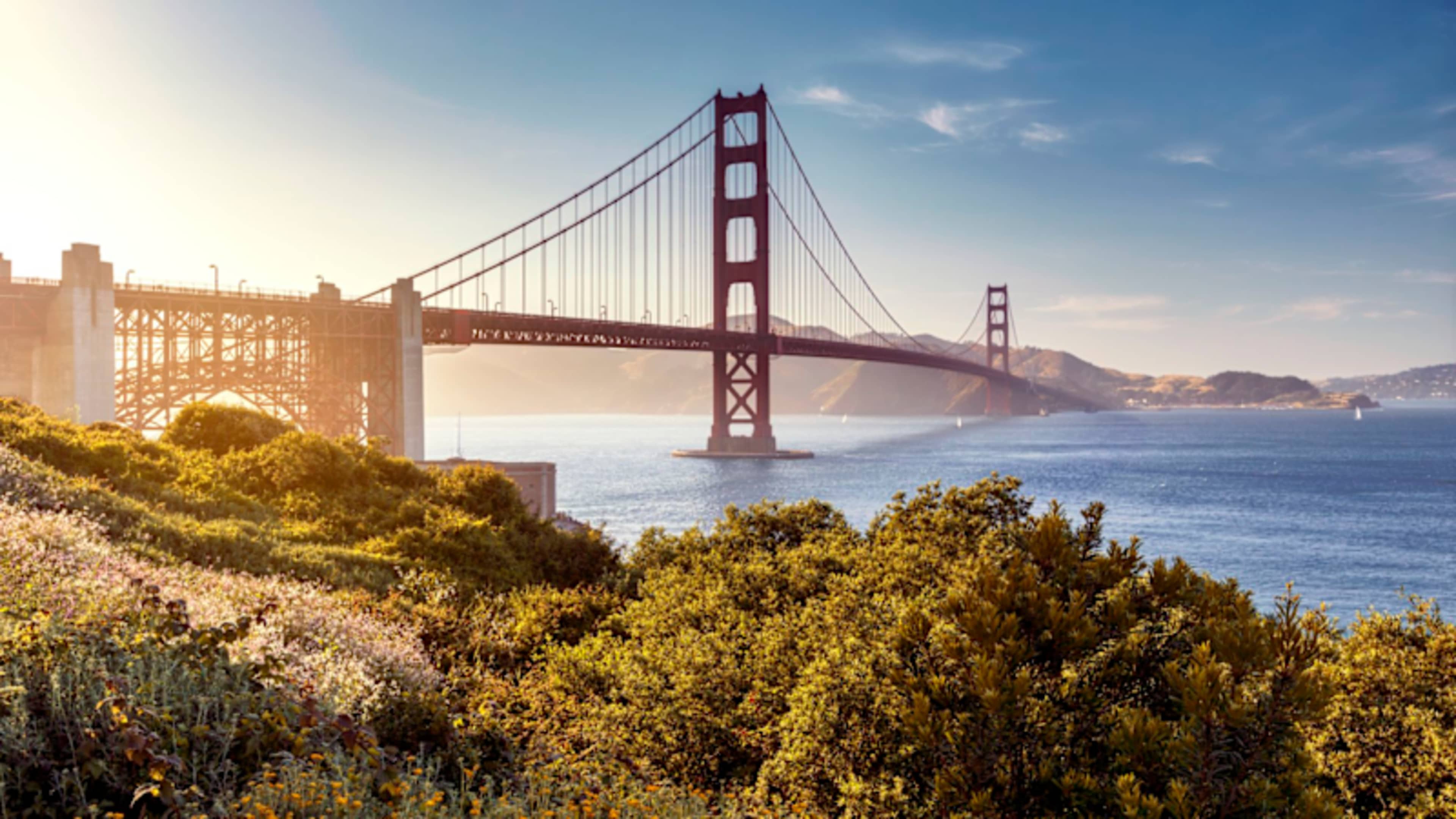 Pacific Coast Highway: Ultimate Road Trip photo 4