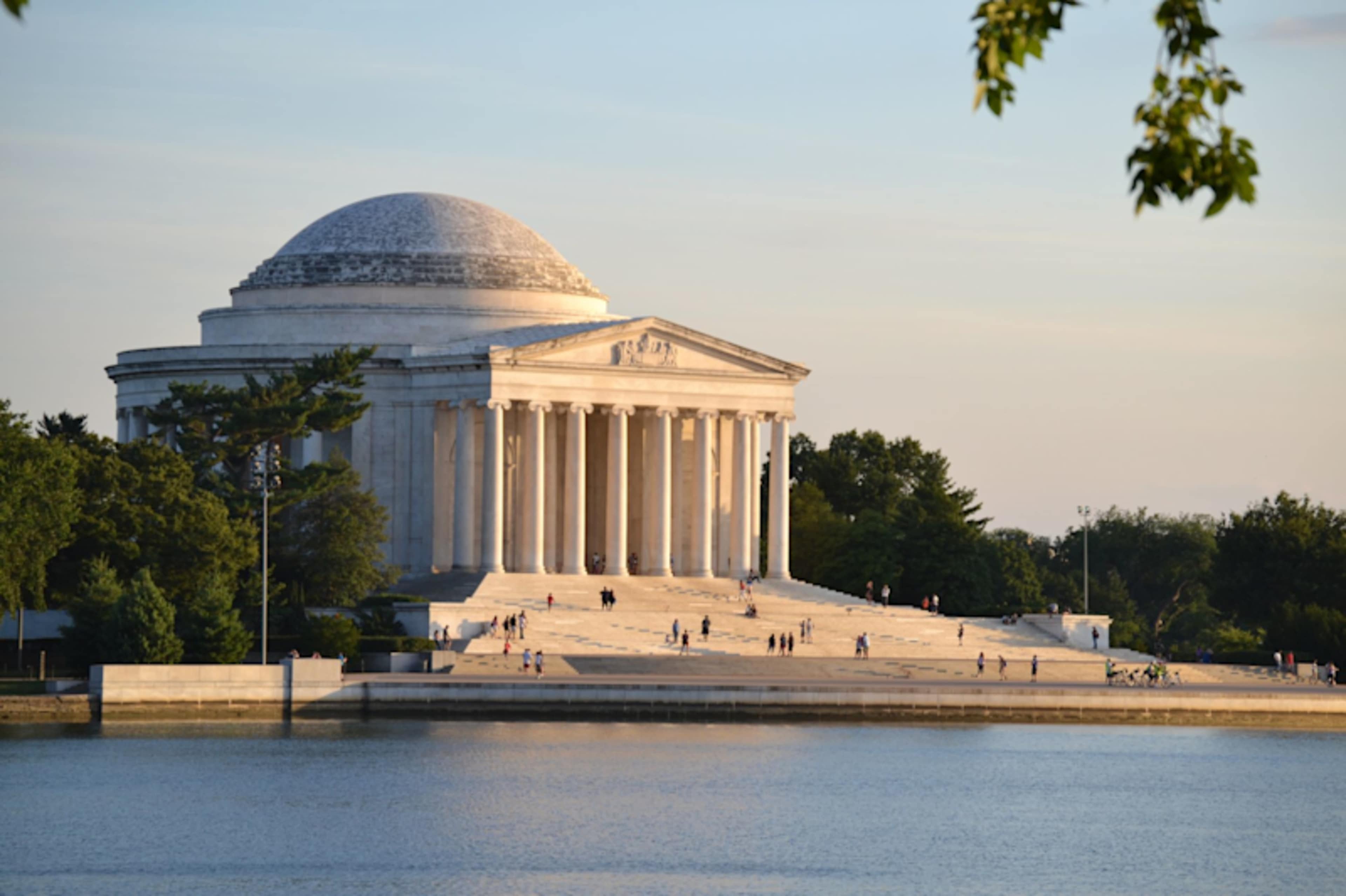 Capital in Bloom: D.C. Cherry Blossom Escape photo 2