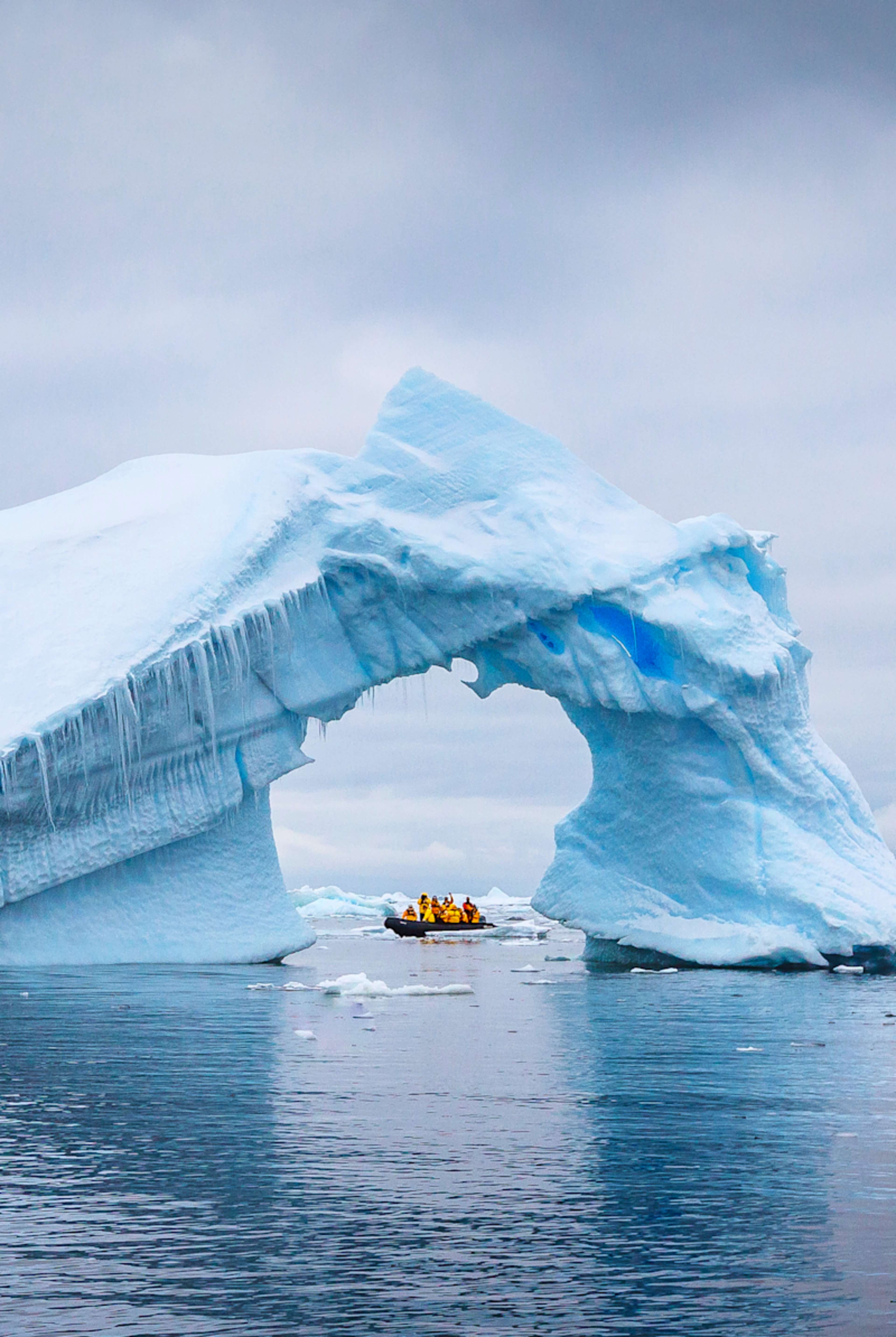 Antarctica, South Georgia & the Falkland Islands photo 2