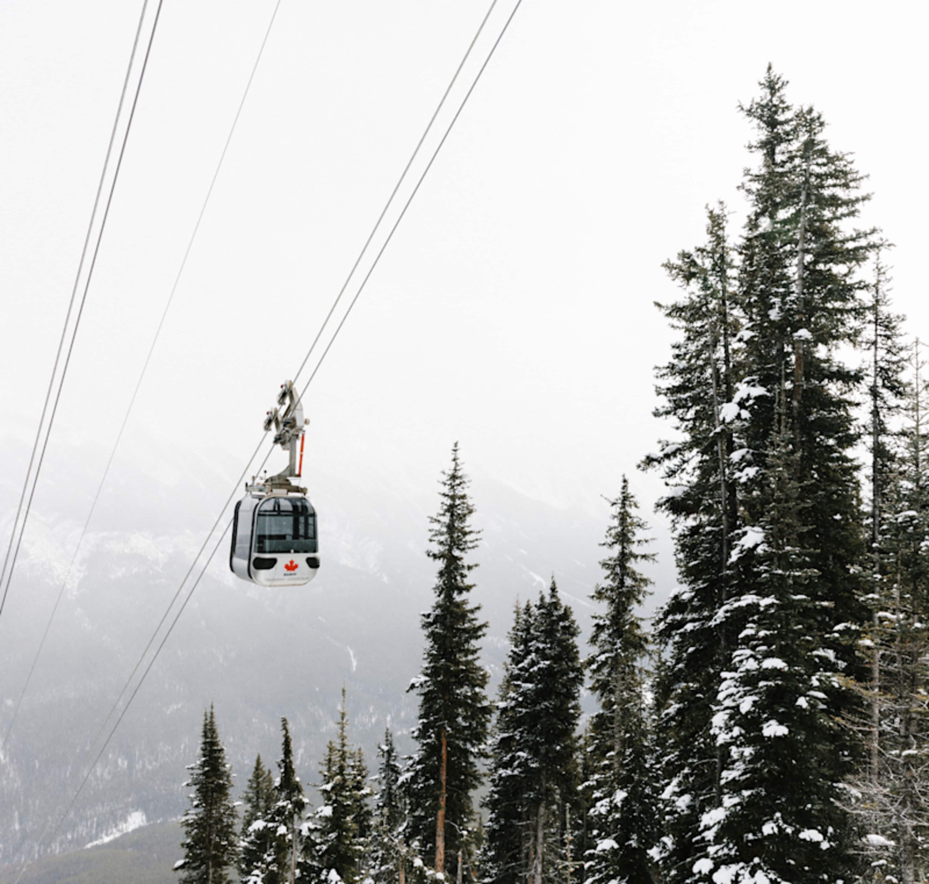 Canadian Rockies Winter Adventure photo 2