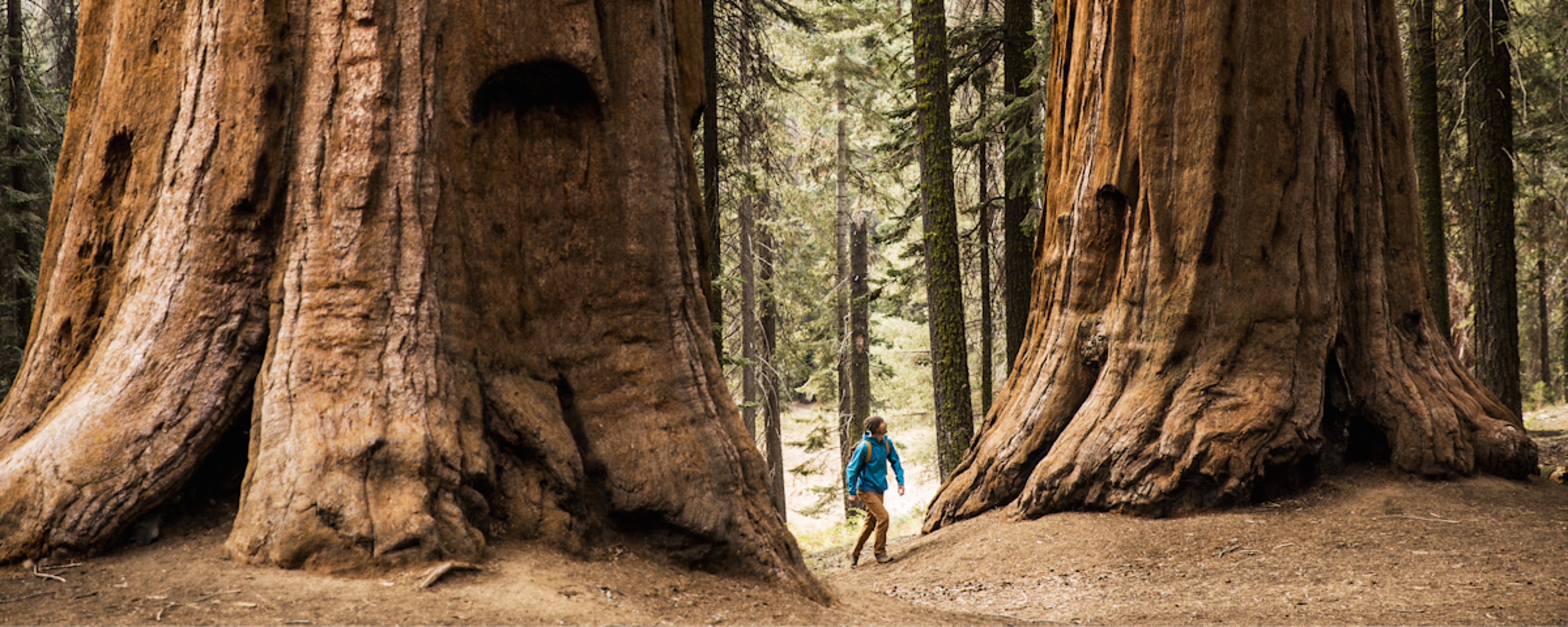 2025 Mid-Year Travel Trends Report
