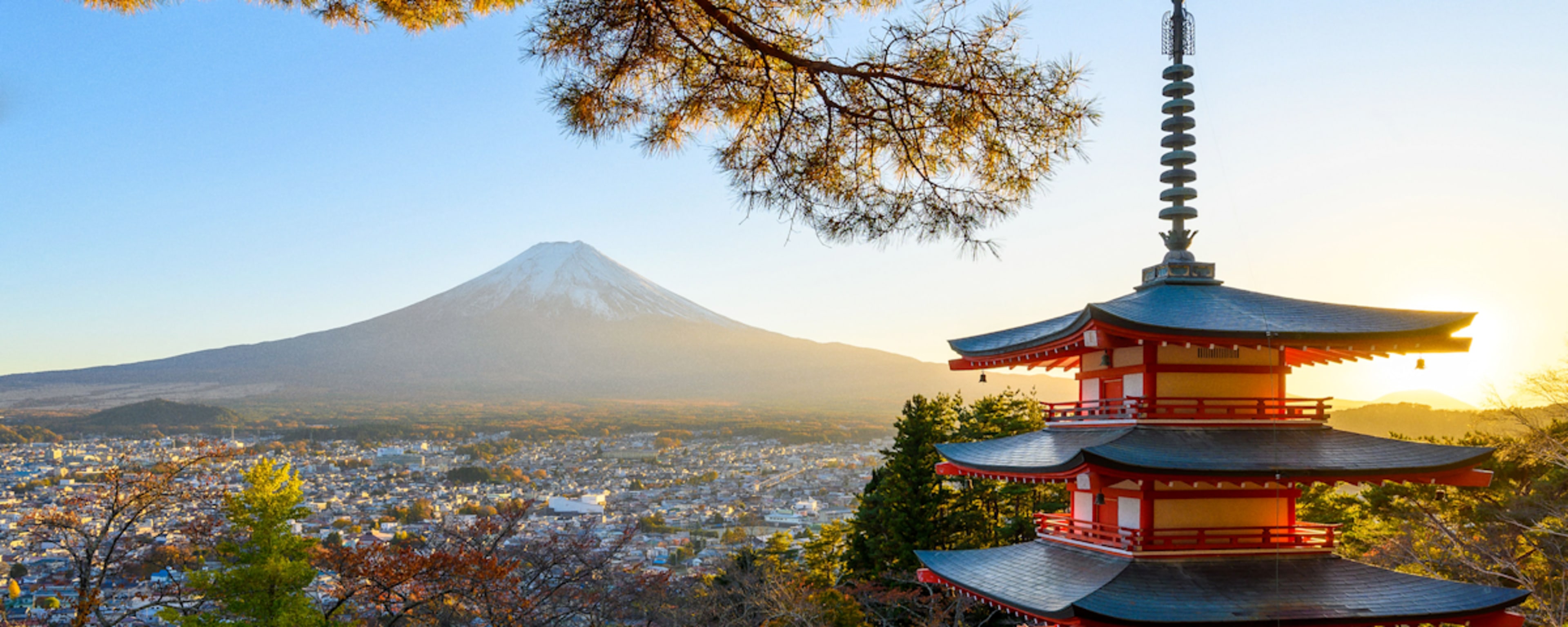 What to Do in Japan: Culture, Cuisine & Beyond the Highlights  