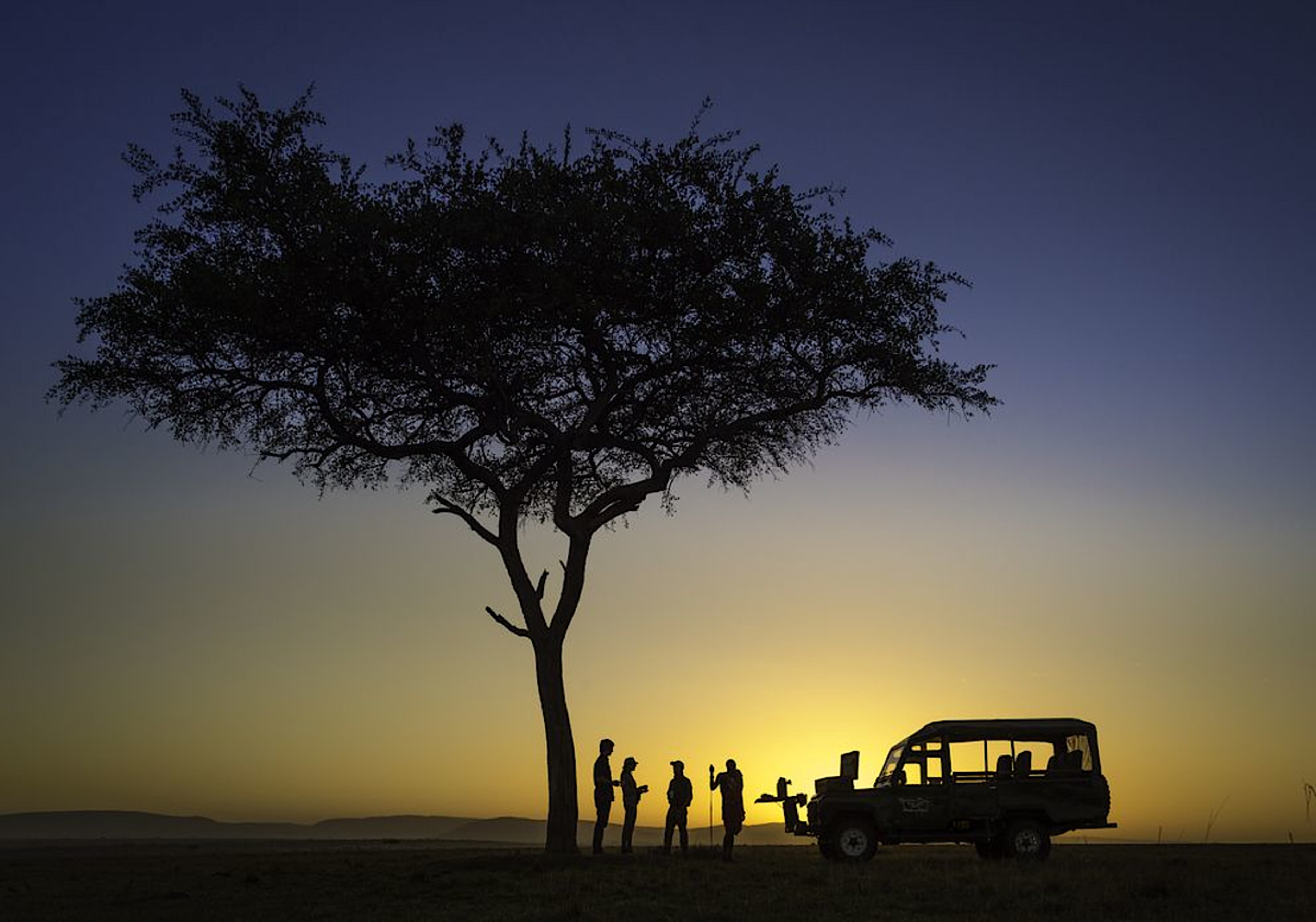 Safari