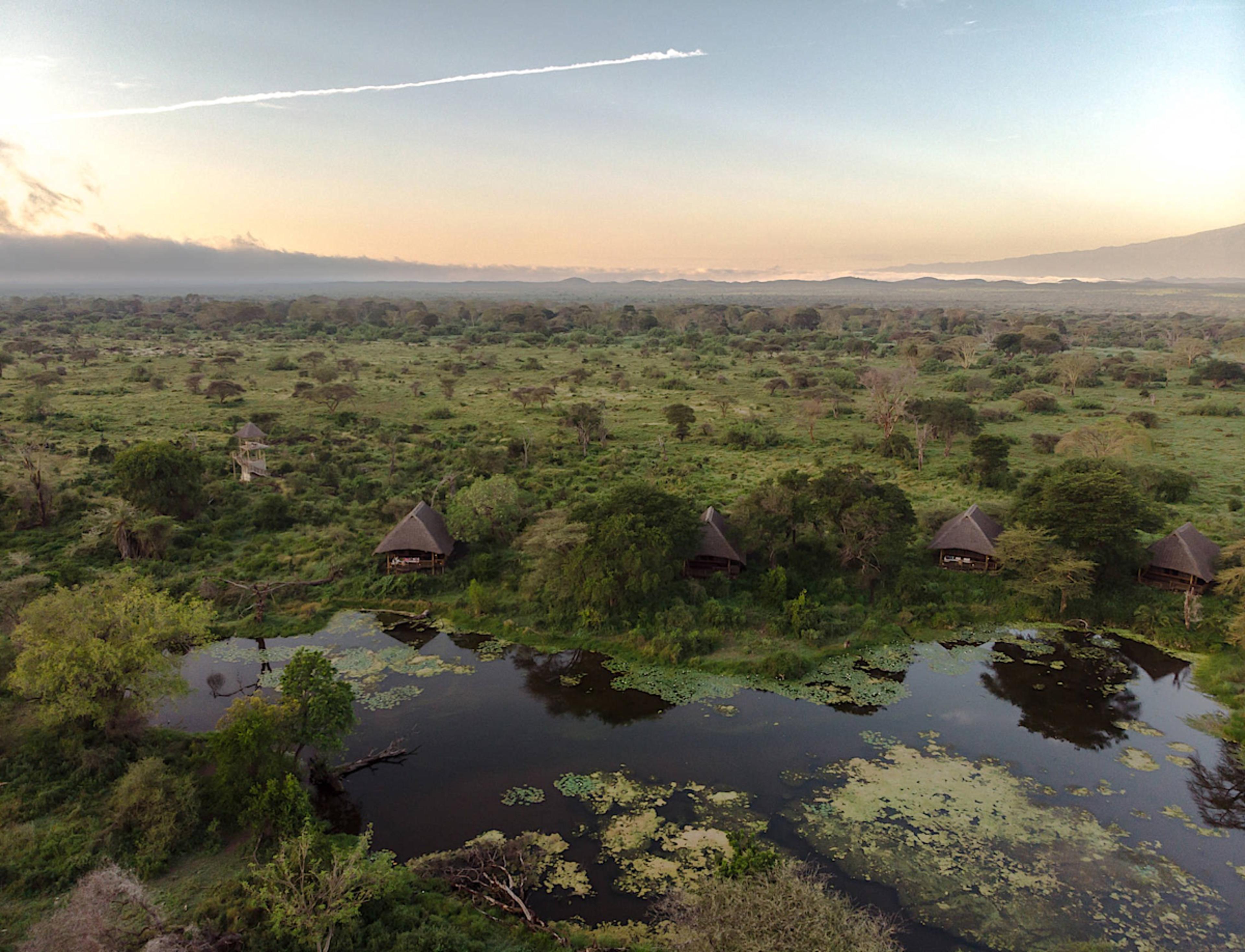 TSAVO