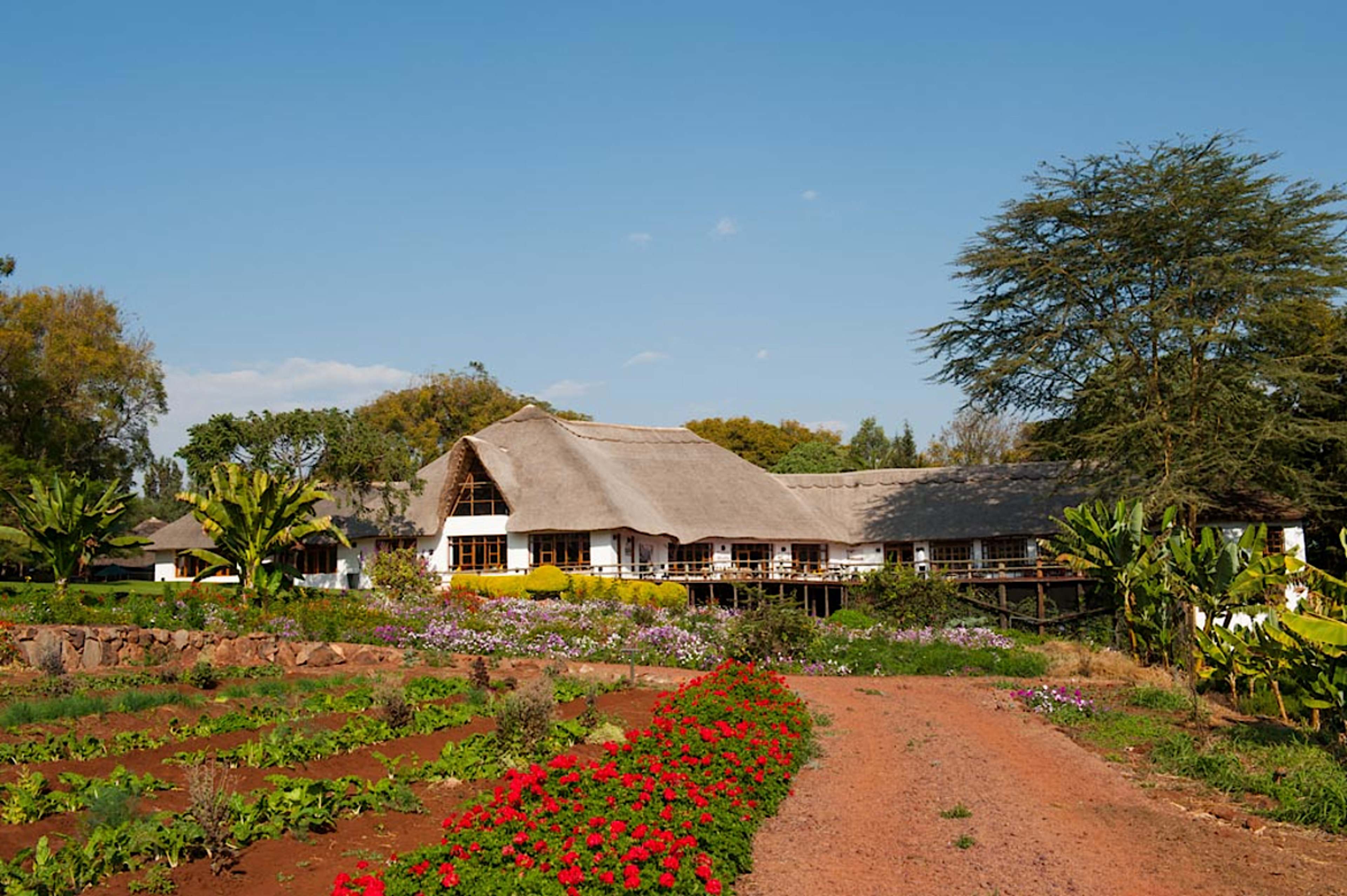 Ngorongoro Farm House