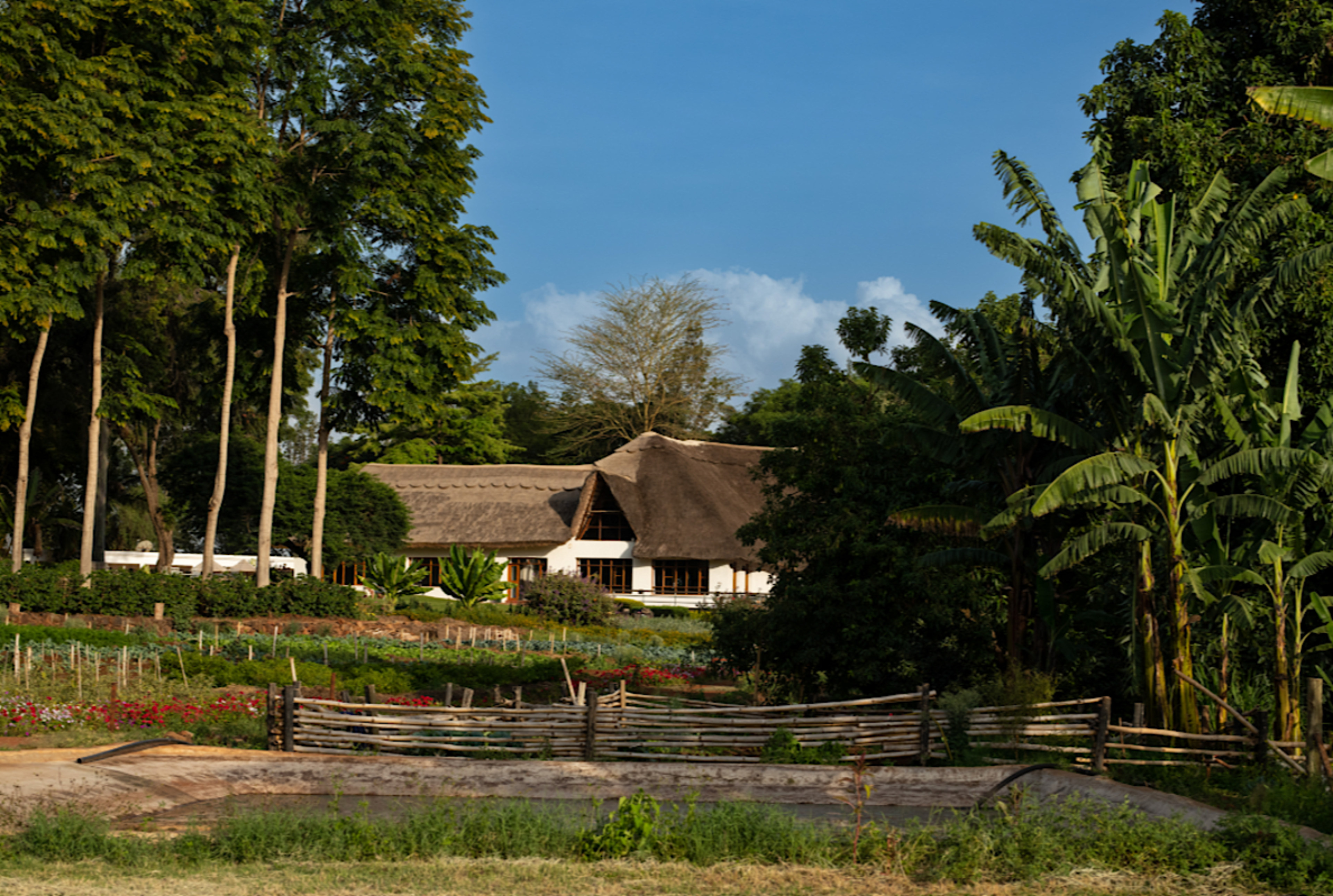 ARUSHA TO NGORONGORO