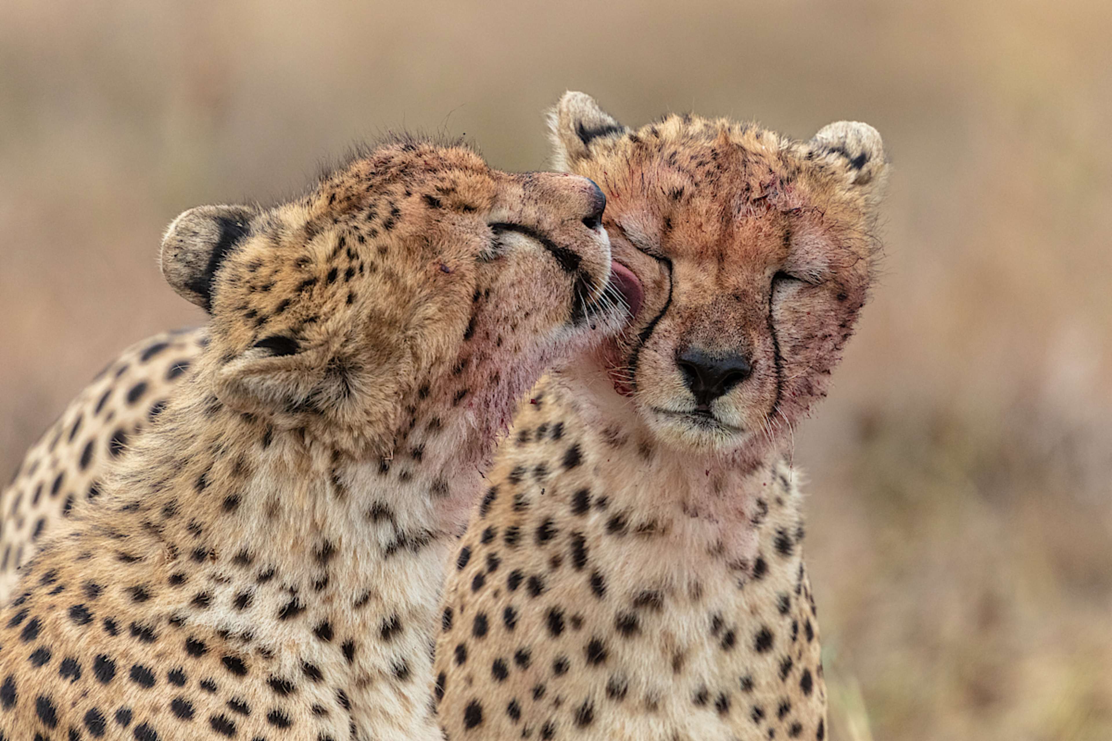 NYERERE NATIONAL PARK