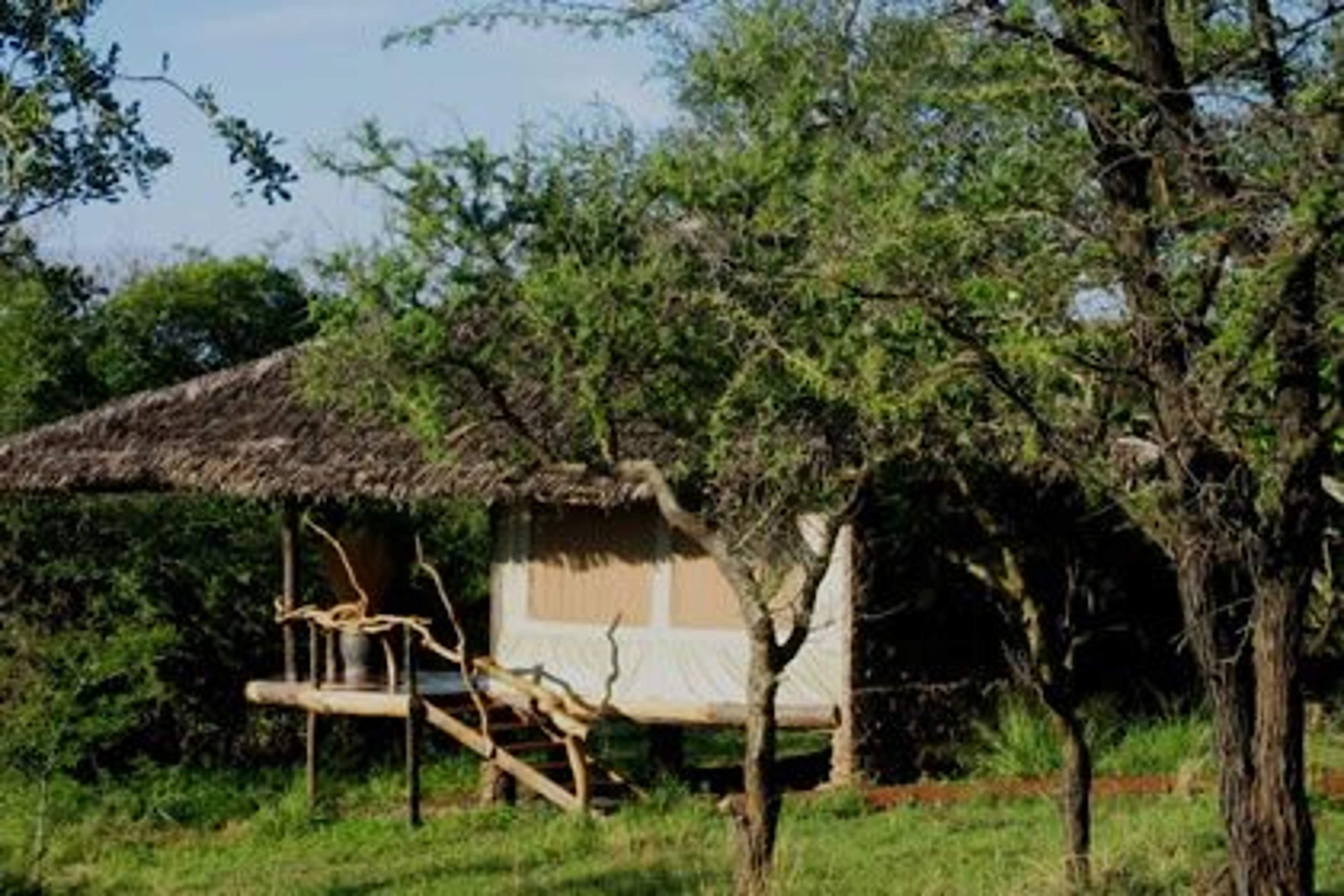 Mbalageti Camp