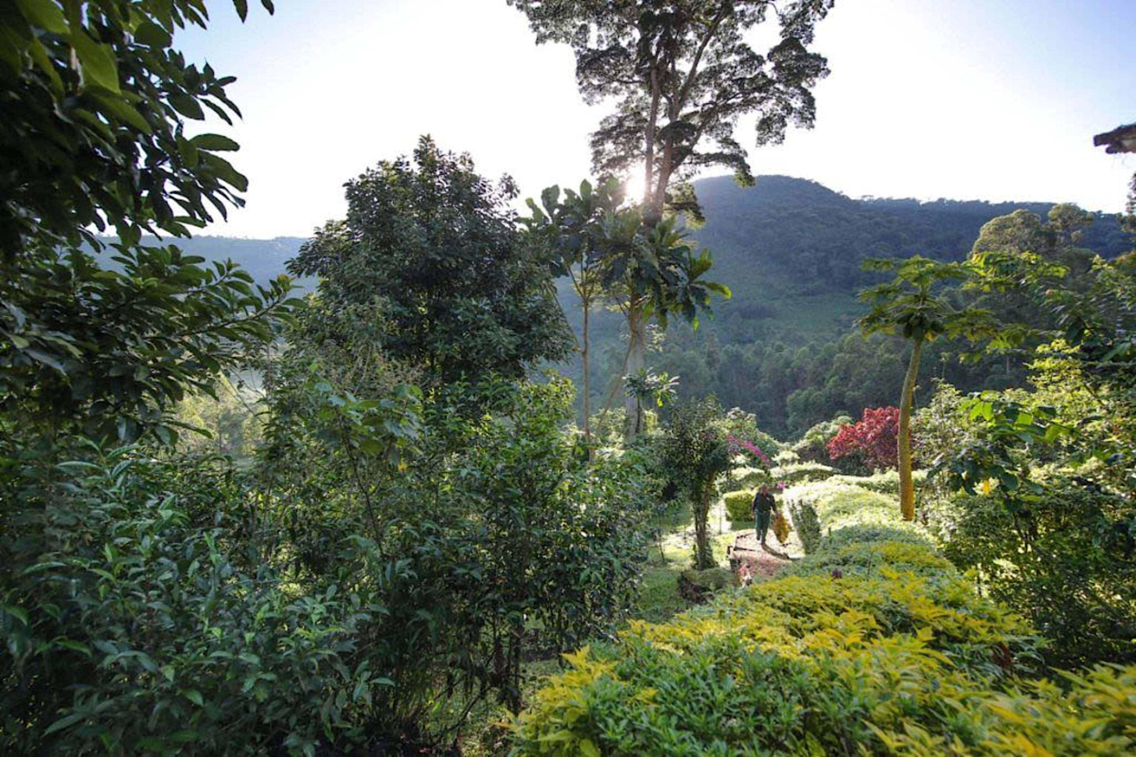 Gardens