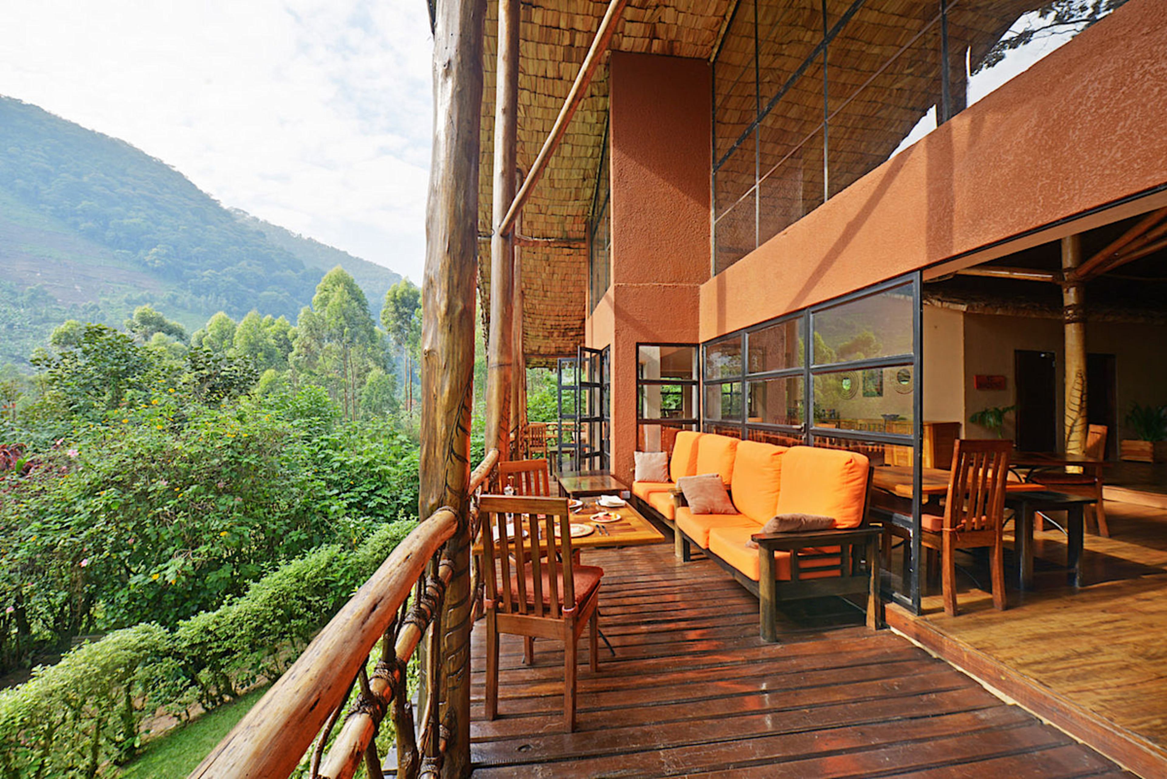 Views from the Terrace
