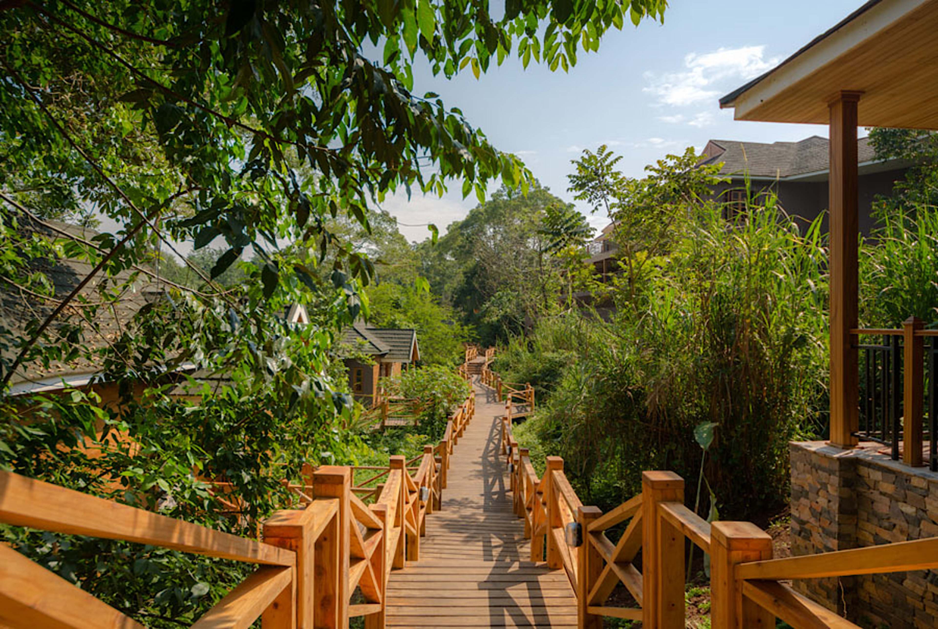 Explore the Lodge