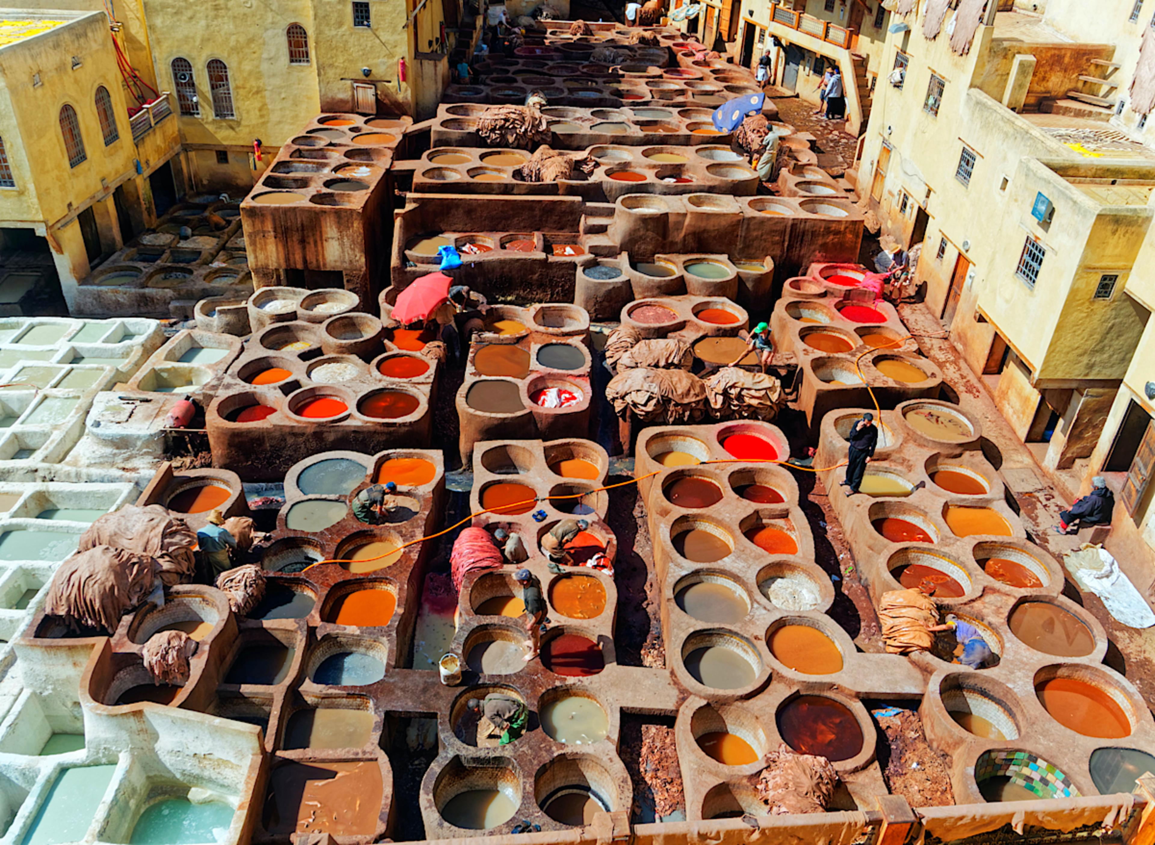 Chouara Tannery, Fes