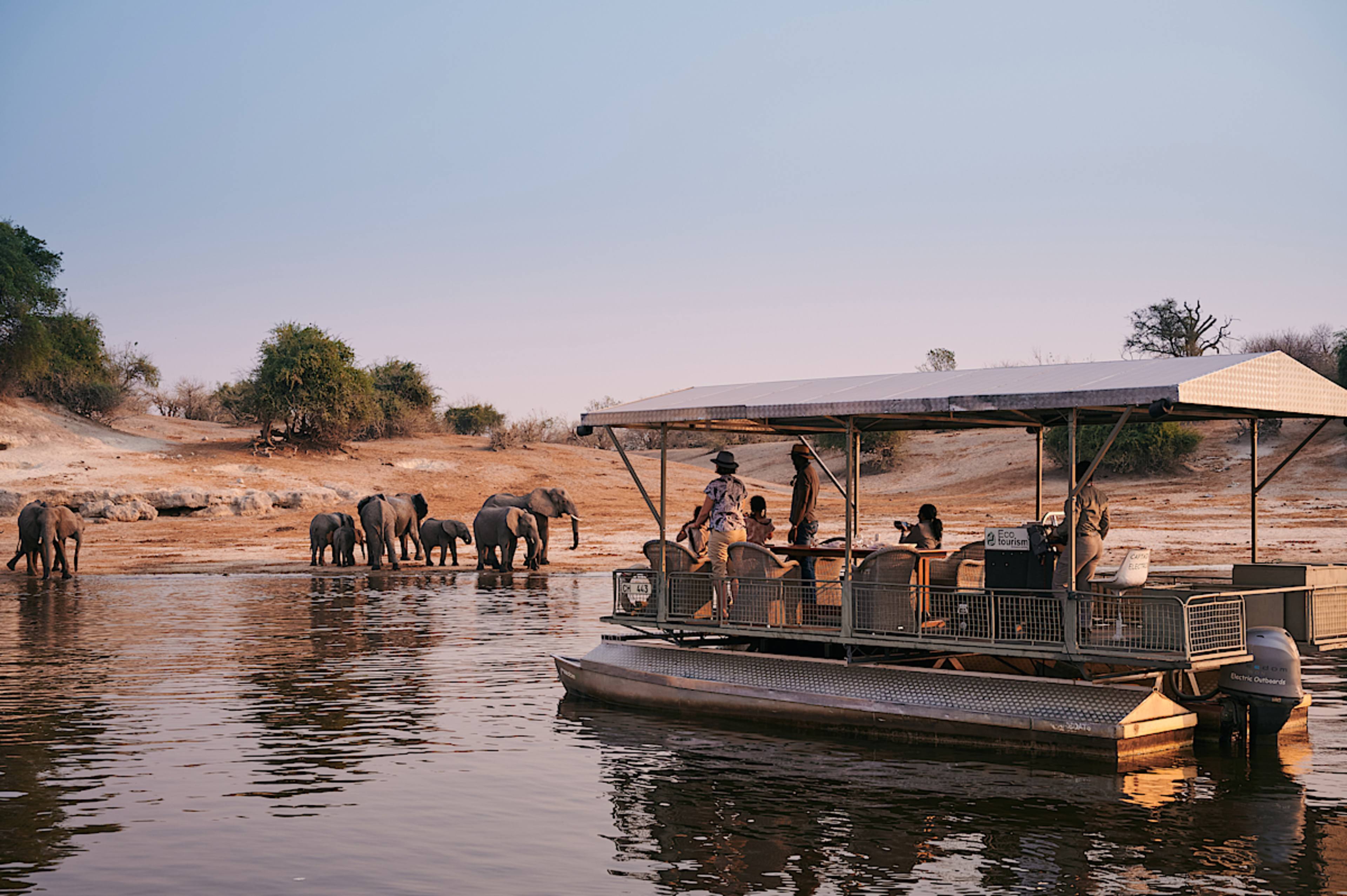 Boat Safari, Chobe Game Lodge