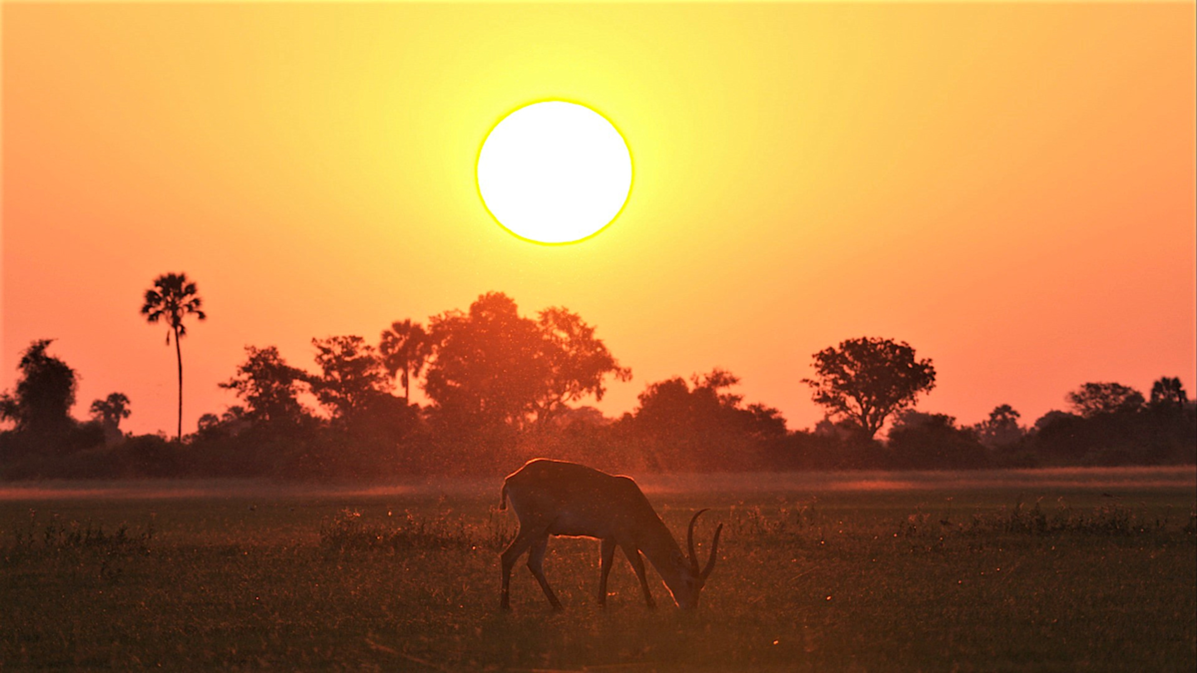 Sunsets in Botswana