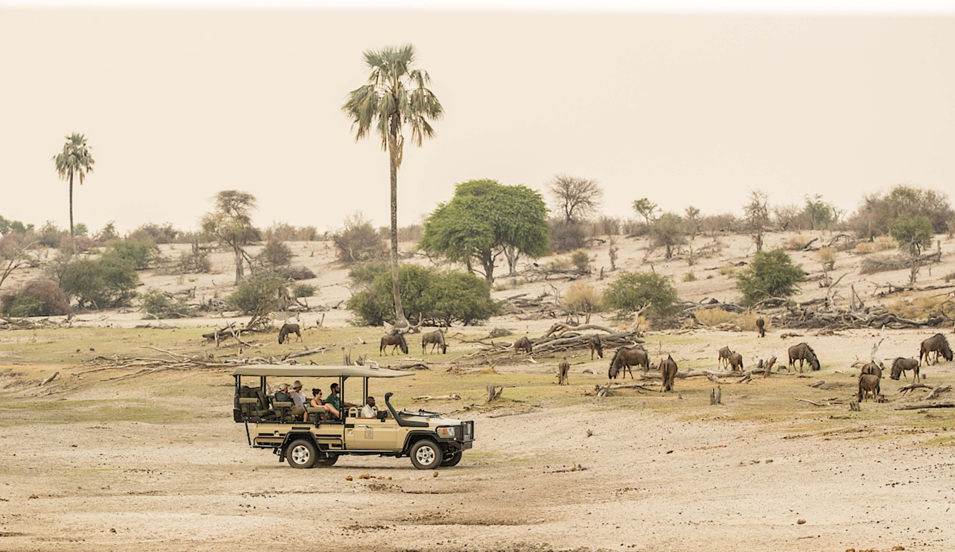 Game Drives at Leroo La Tau