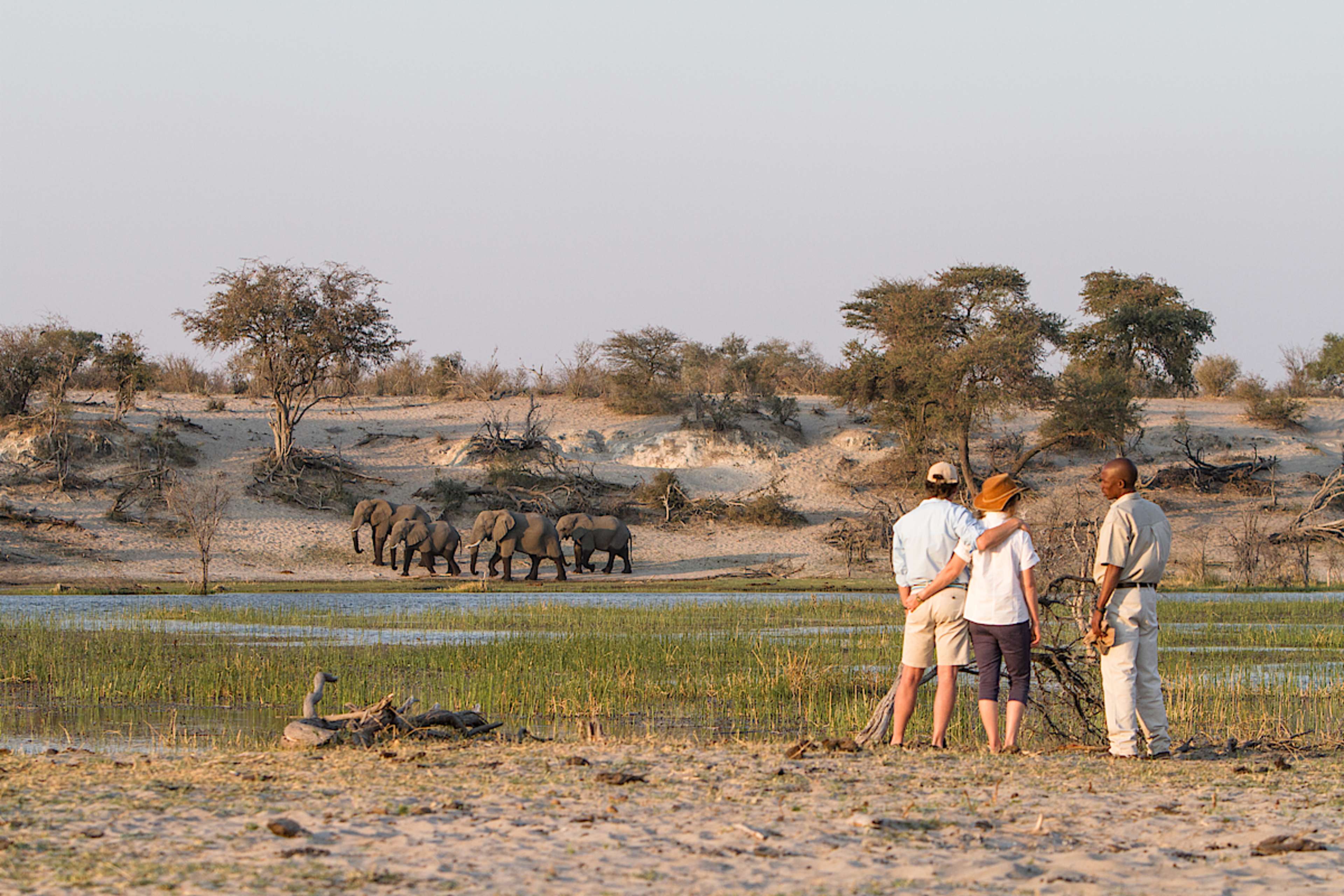 Game Viewing, Leroo La Tau