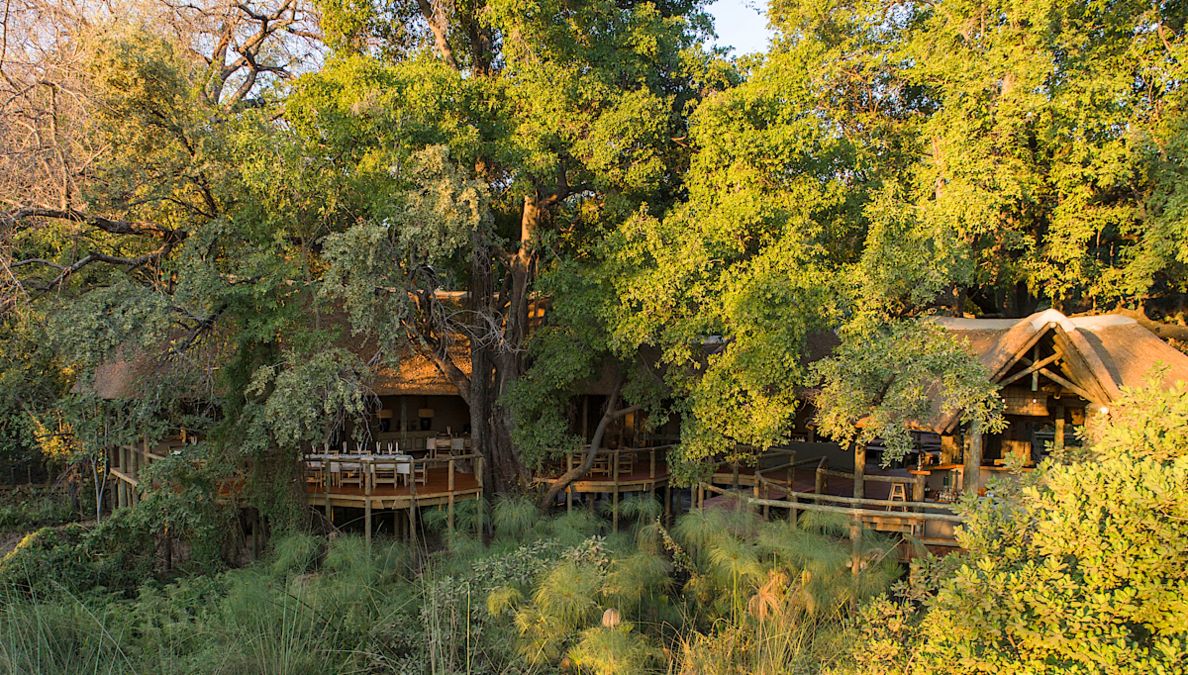 Camp Moremi