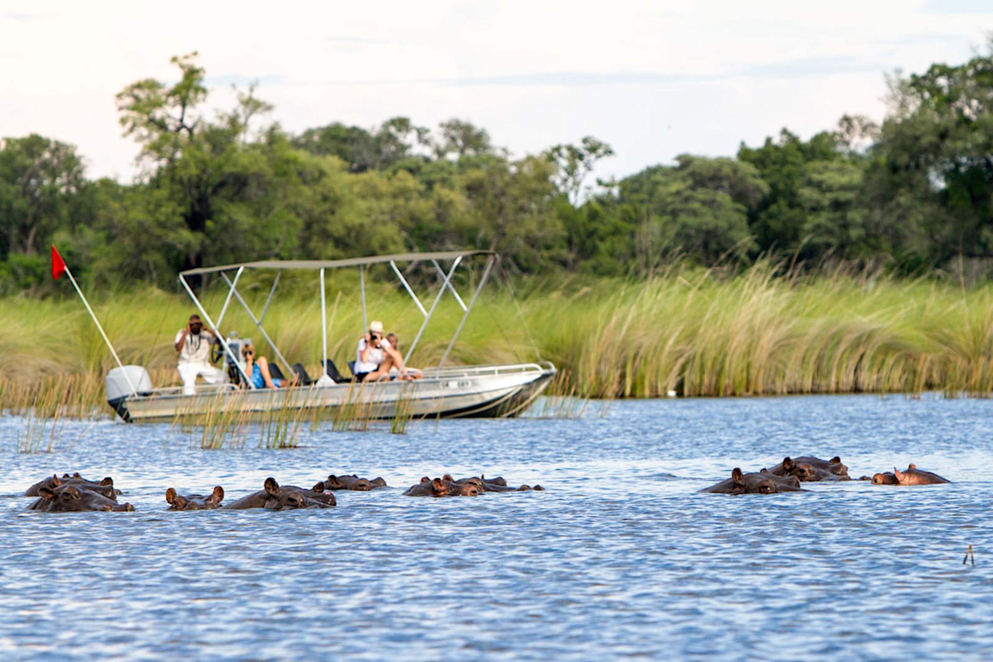 Boat Safari at Camp Moremi