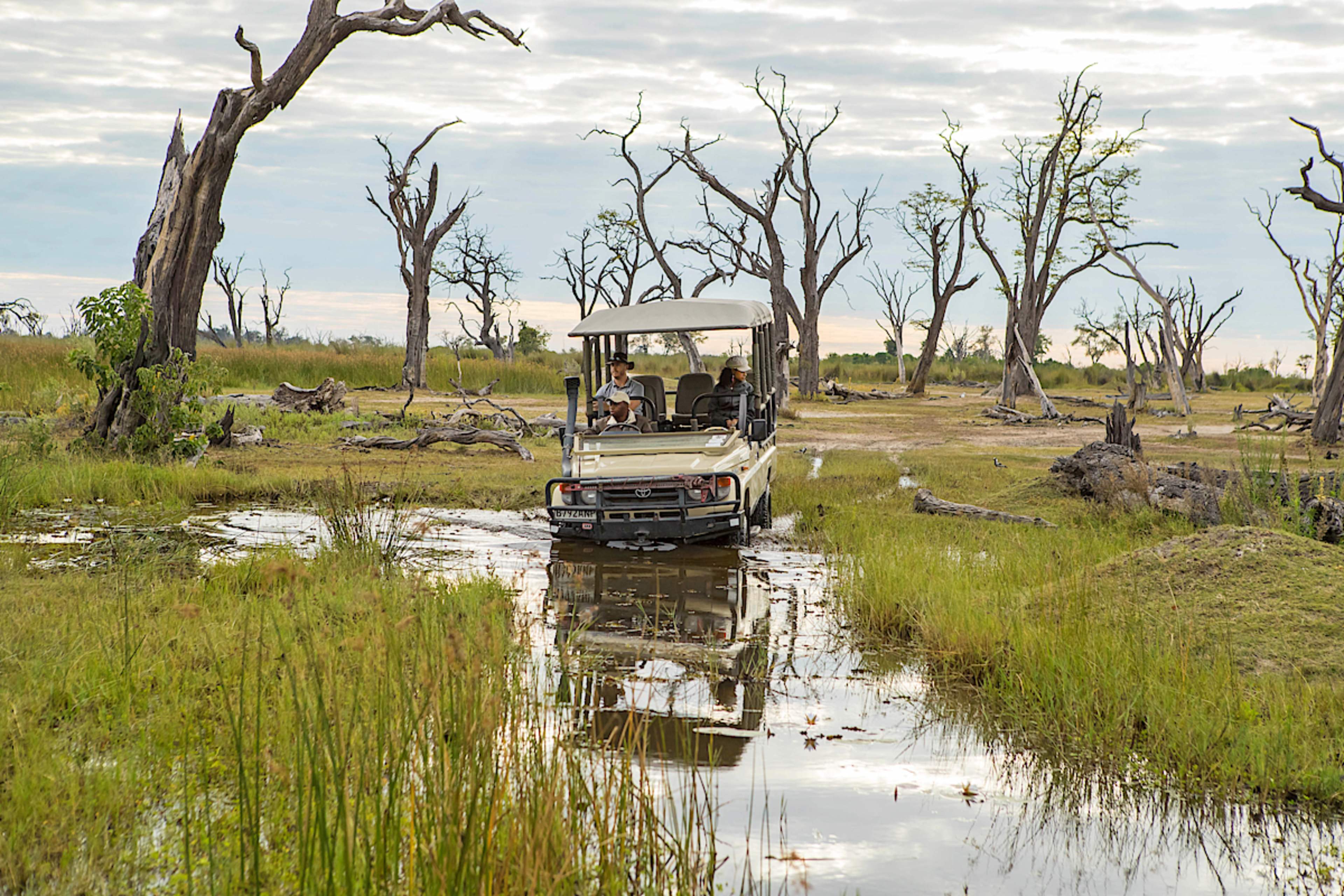 Game Drive