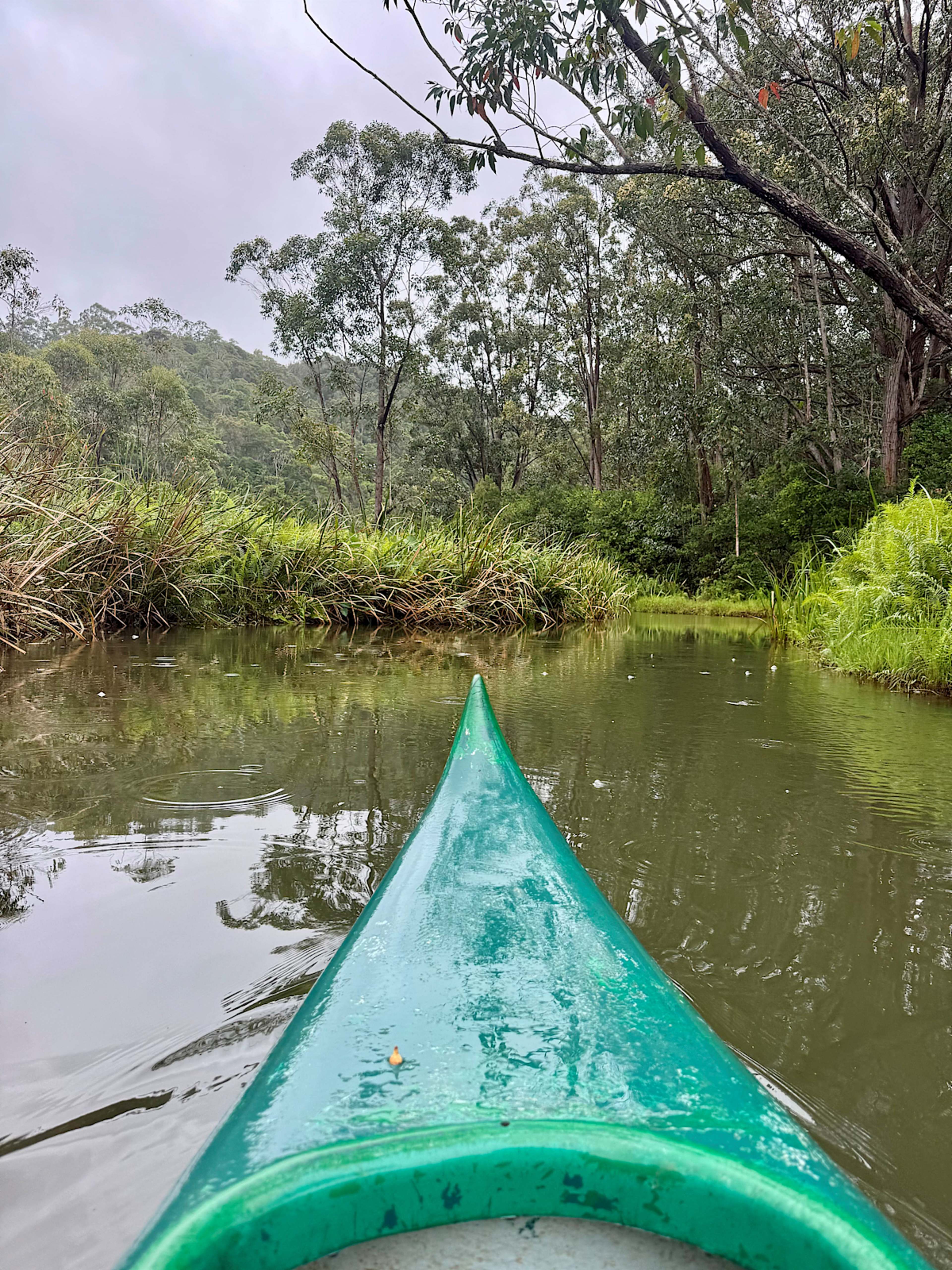 ANDASIBE-MANTADIA NATIONAL PARK