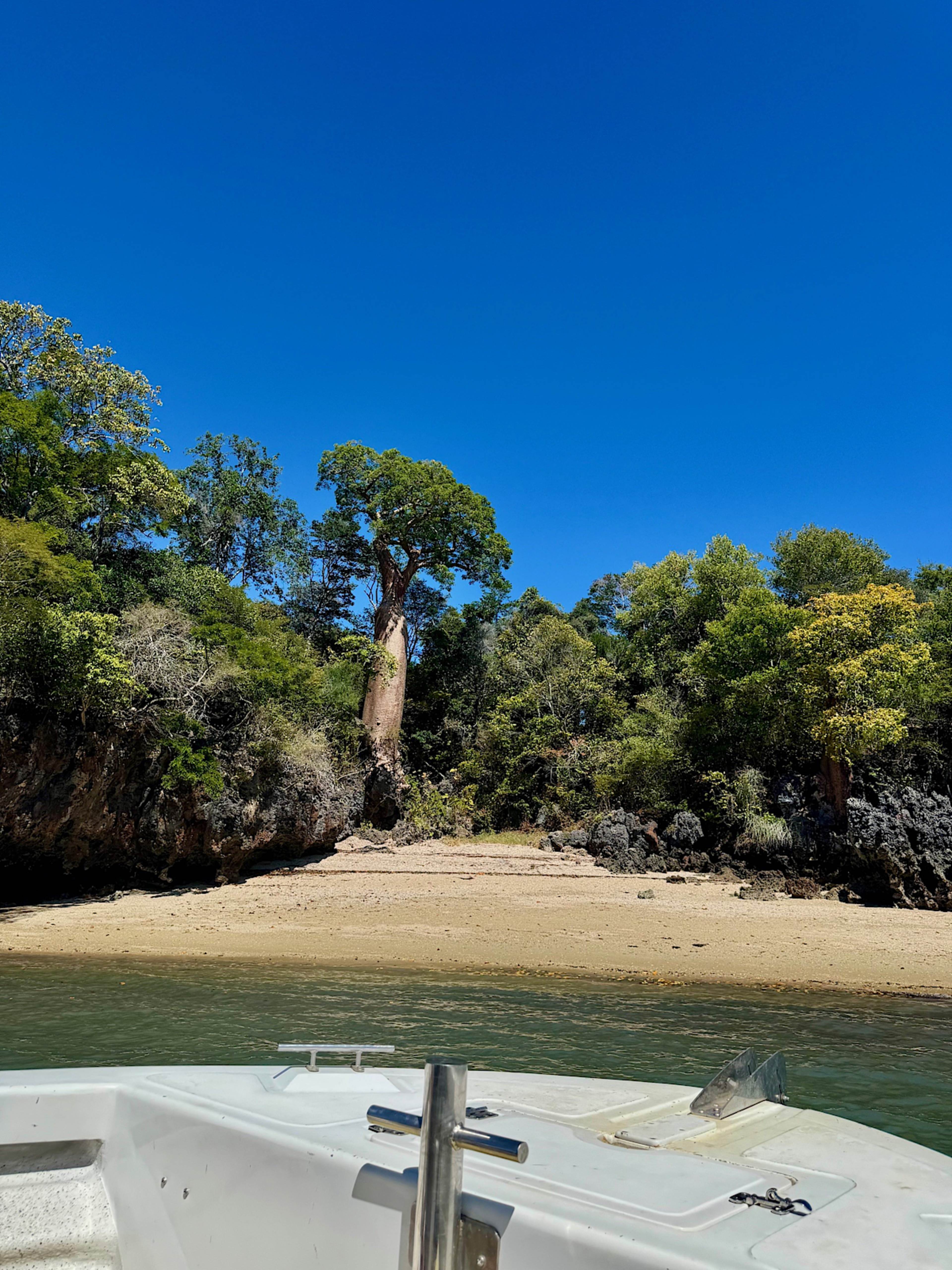 ANJAJAVY
