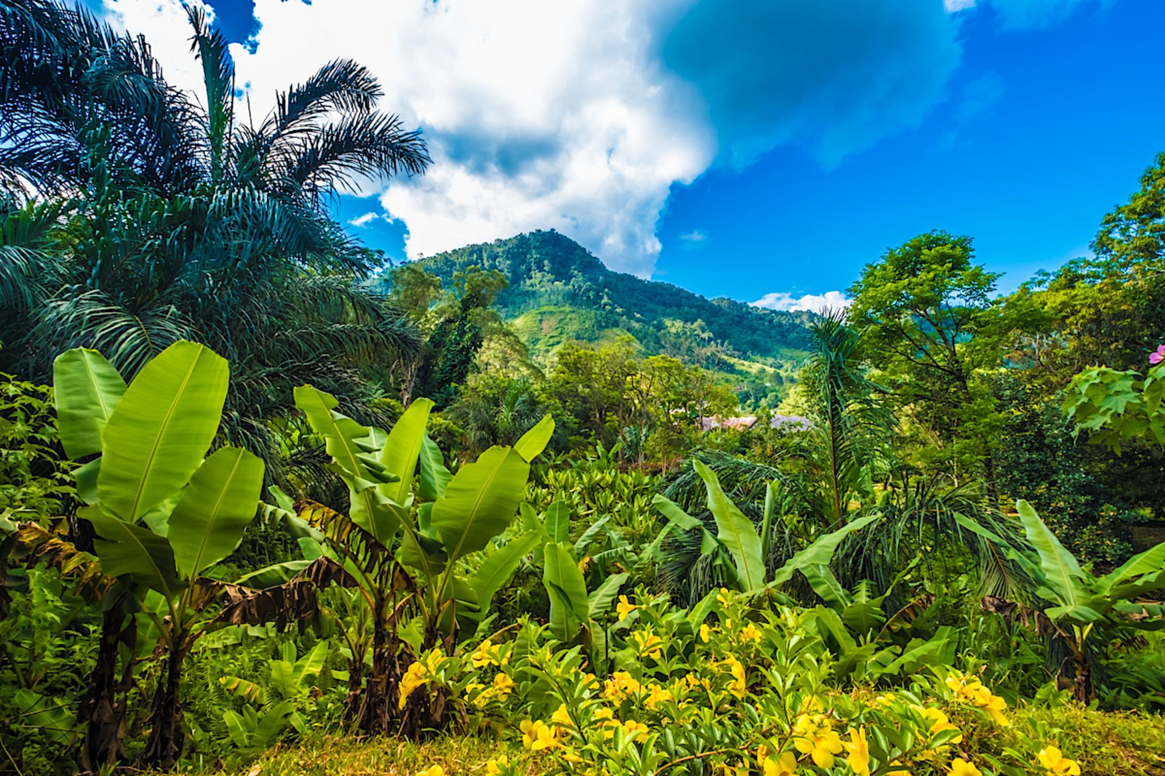Ranomafana National Park, Madagascar