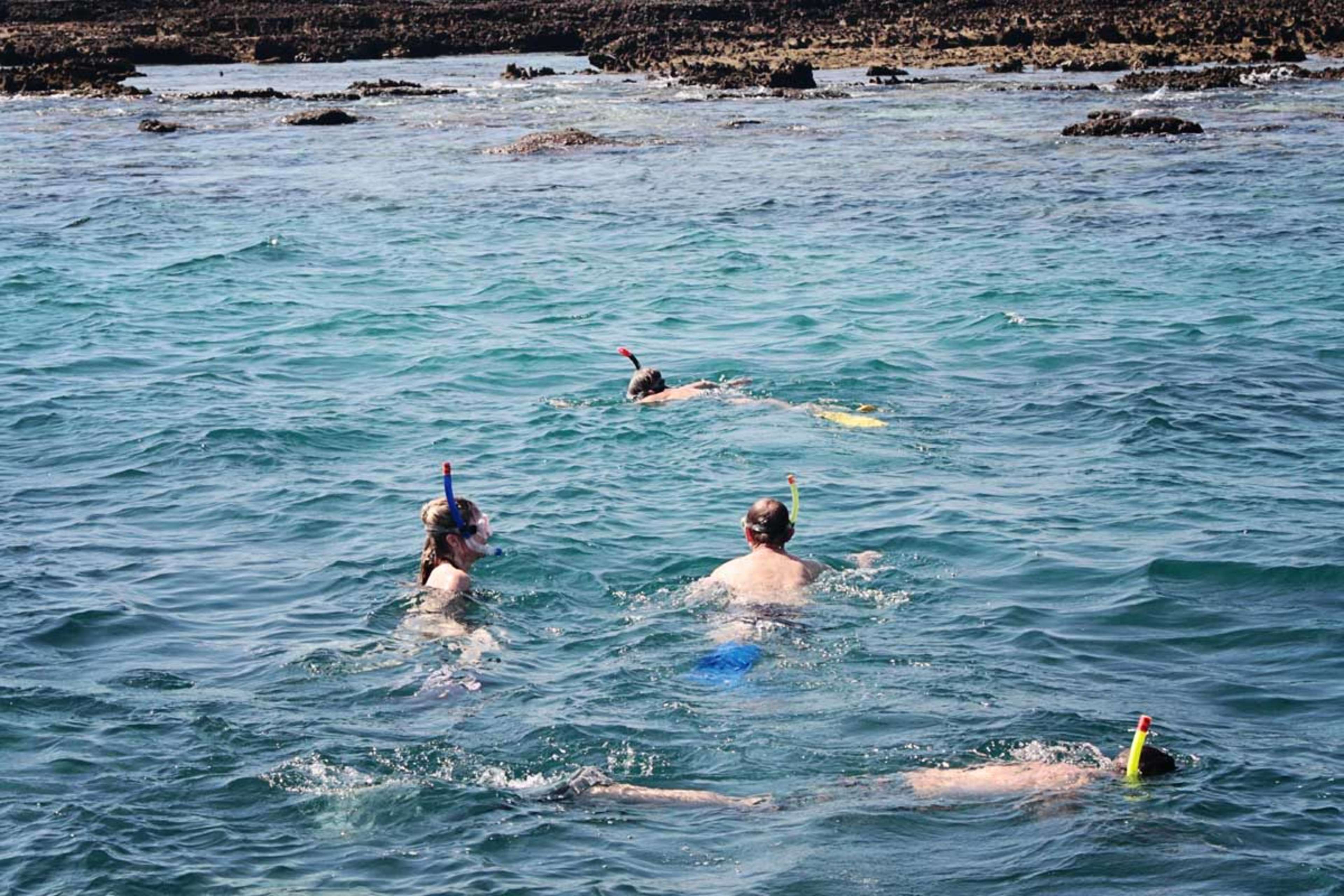 Snorkeling