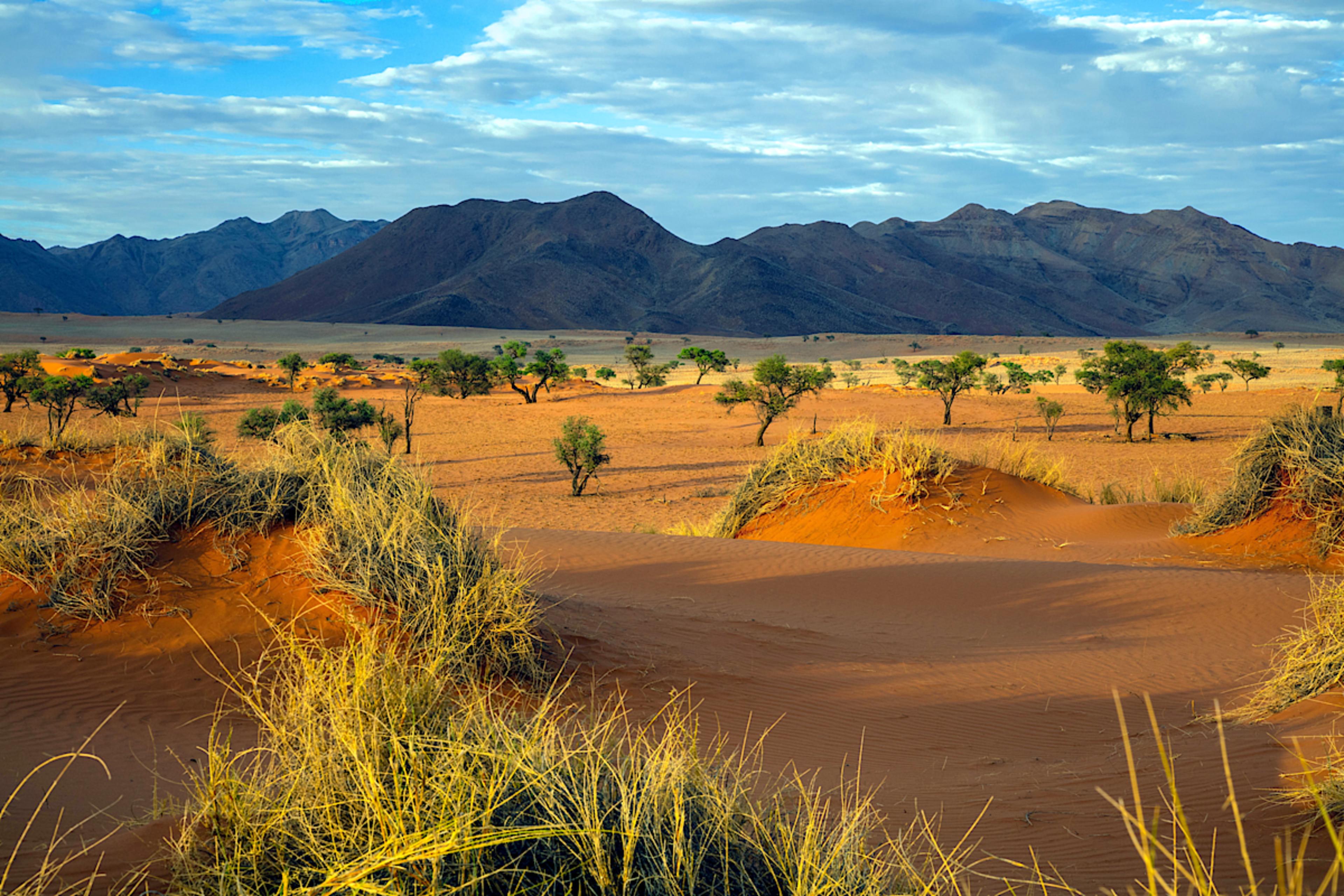 Namib Desert