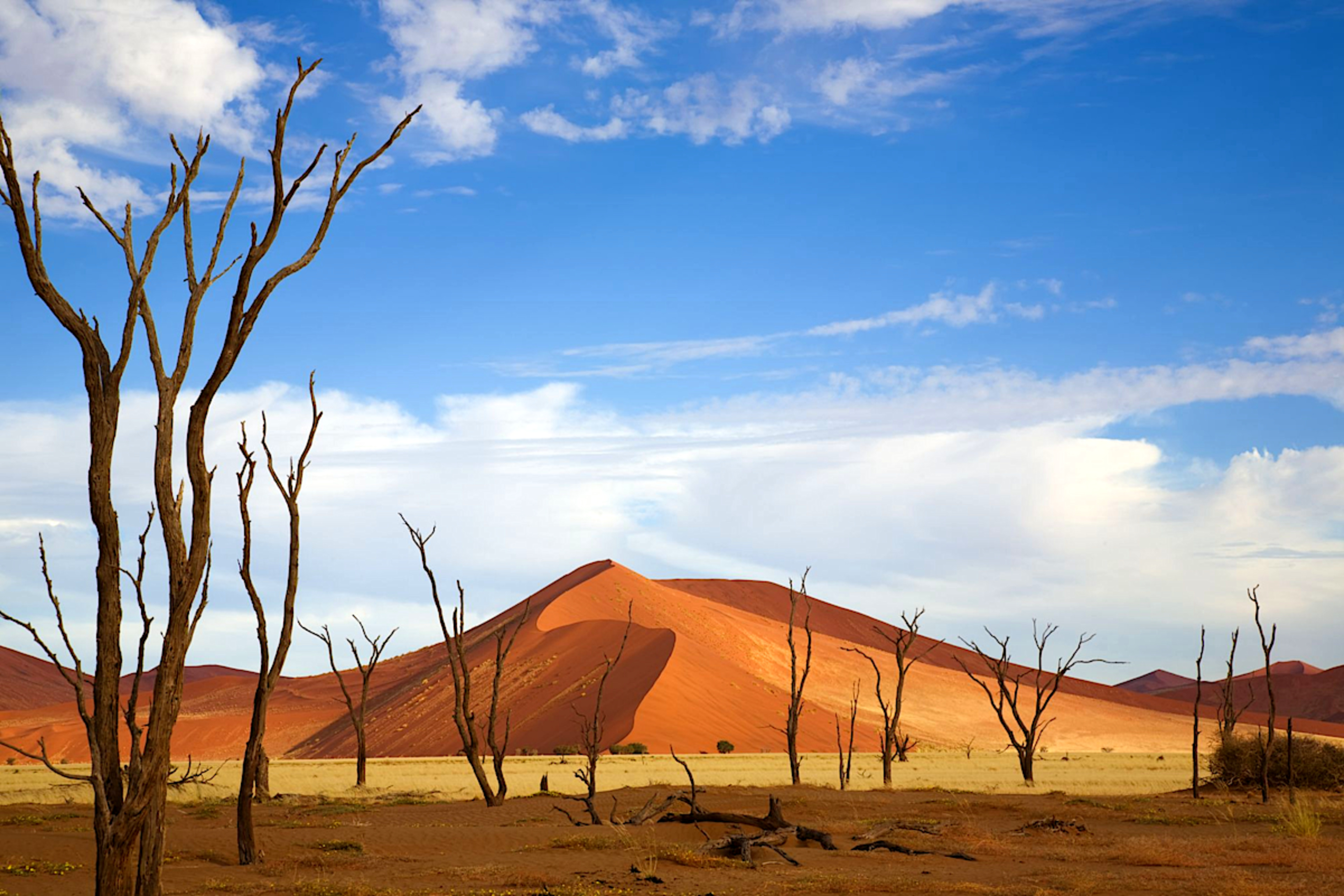 Deadvlei