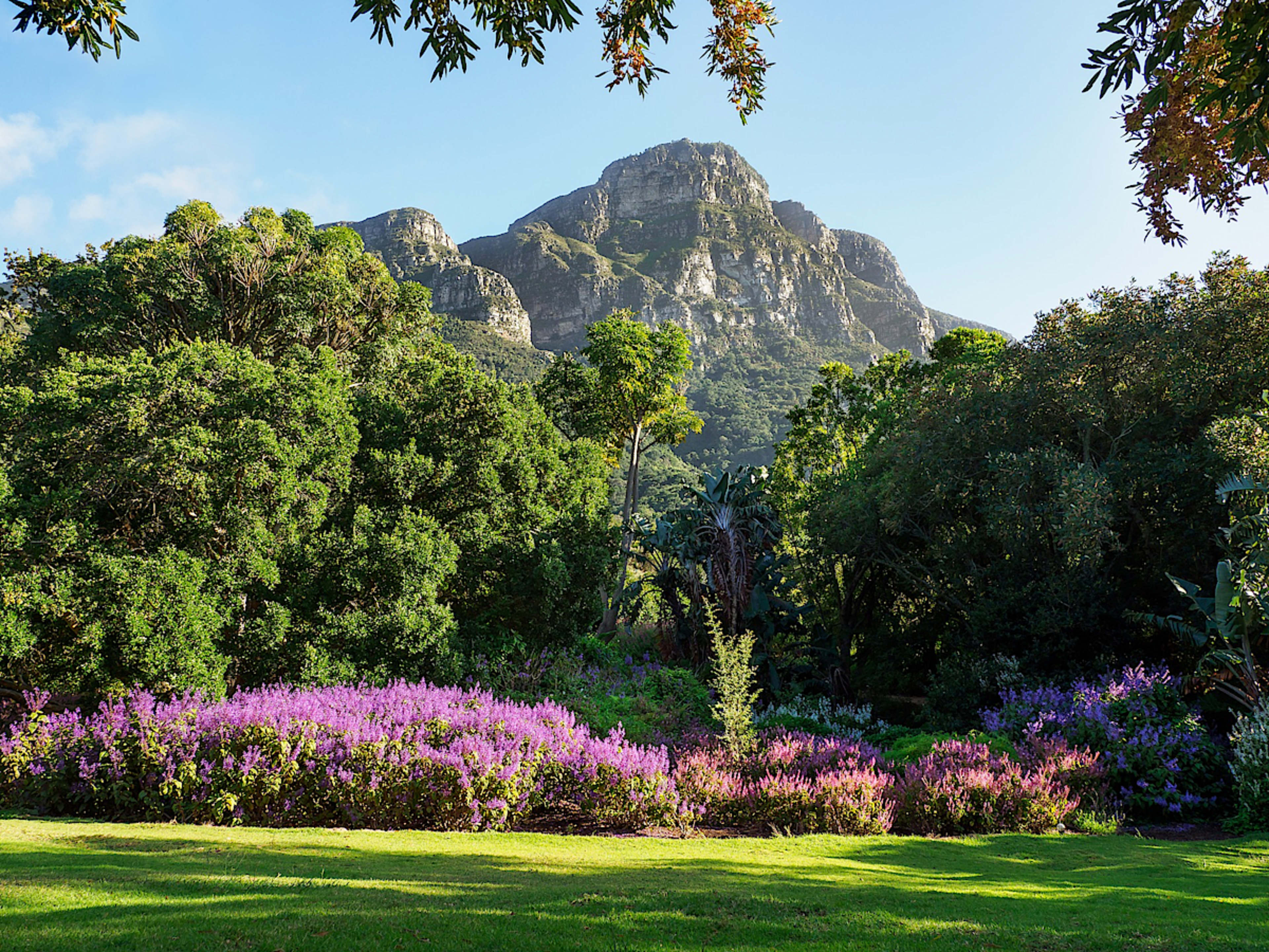 Kirstenbosch Botanical Gardens