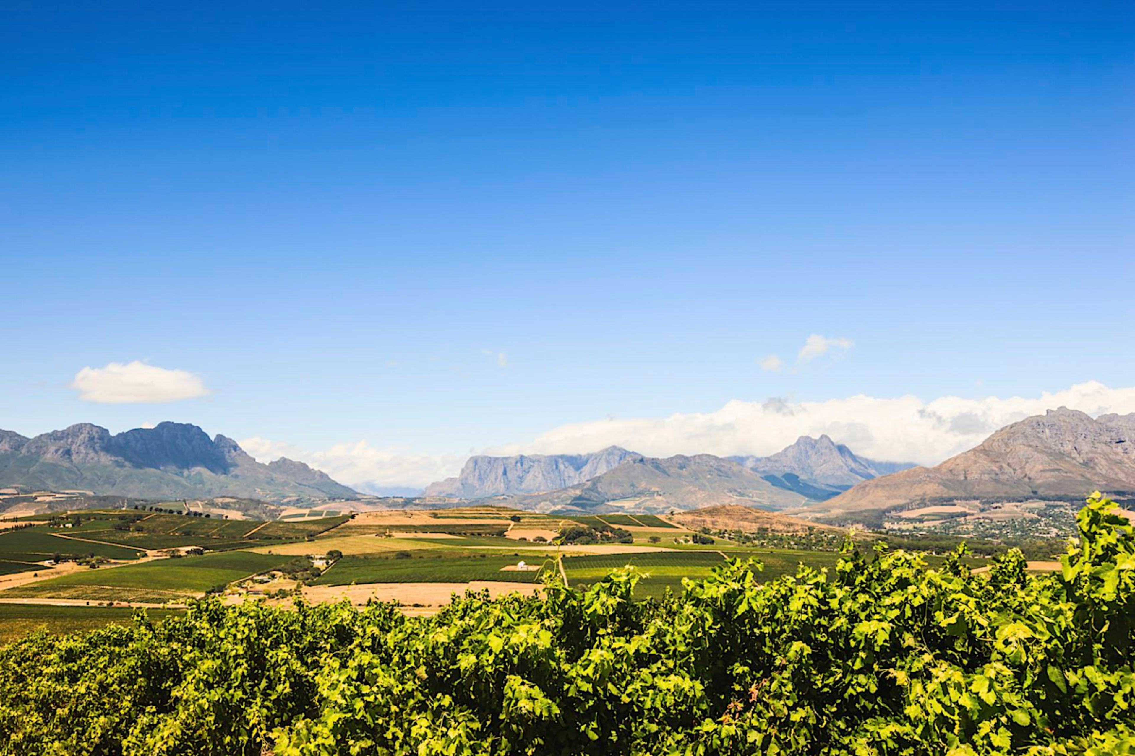 Stellenbosch Winelands