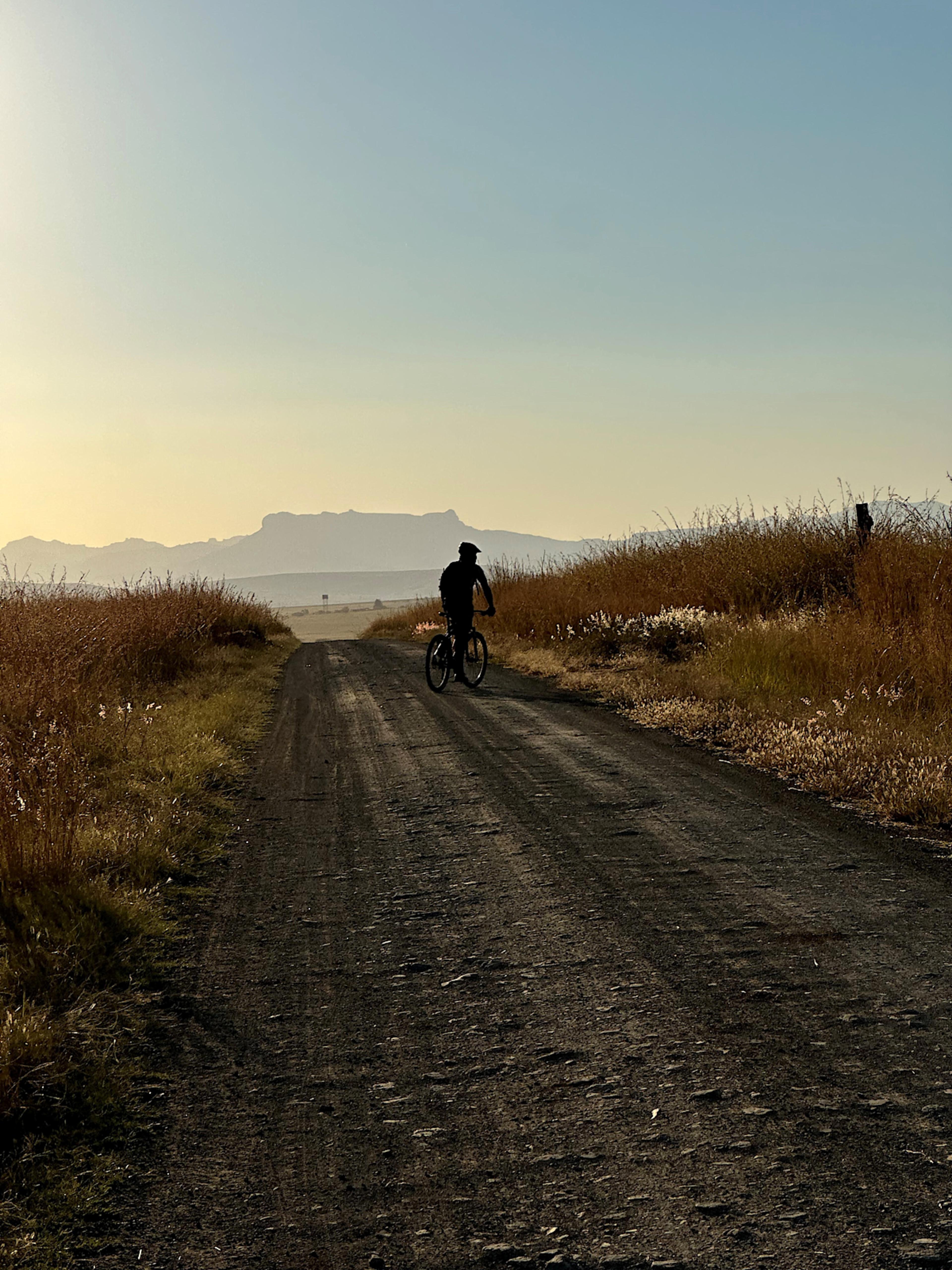Biking, Three Tree Hill