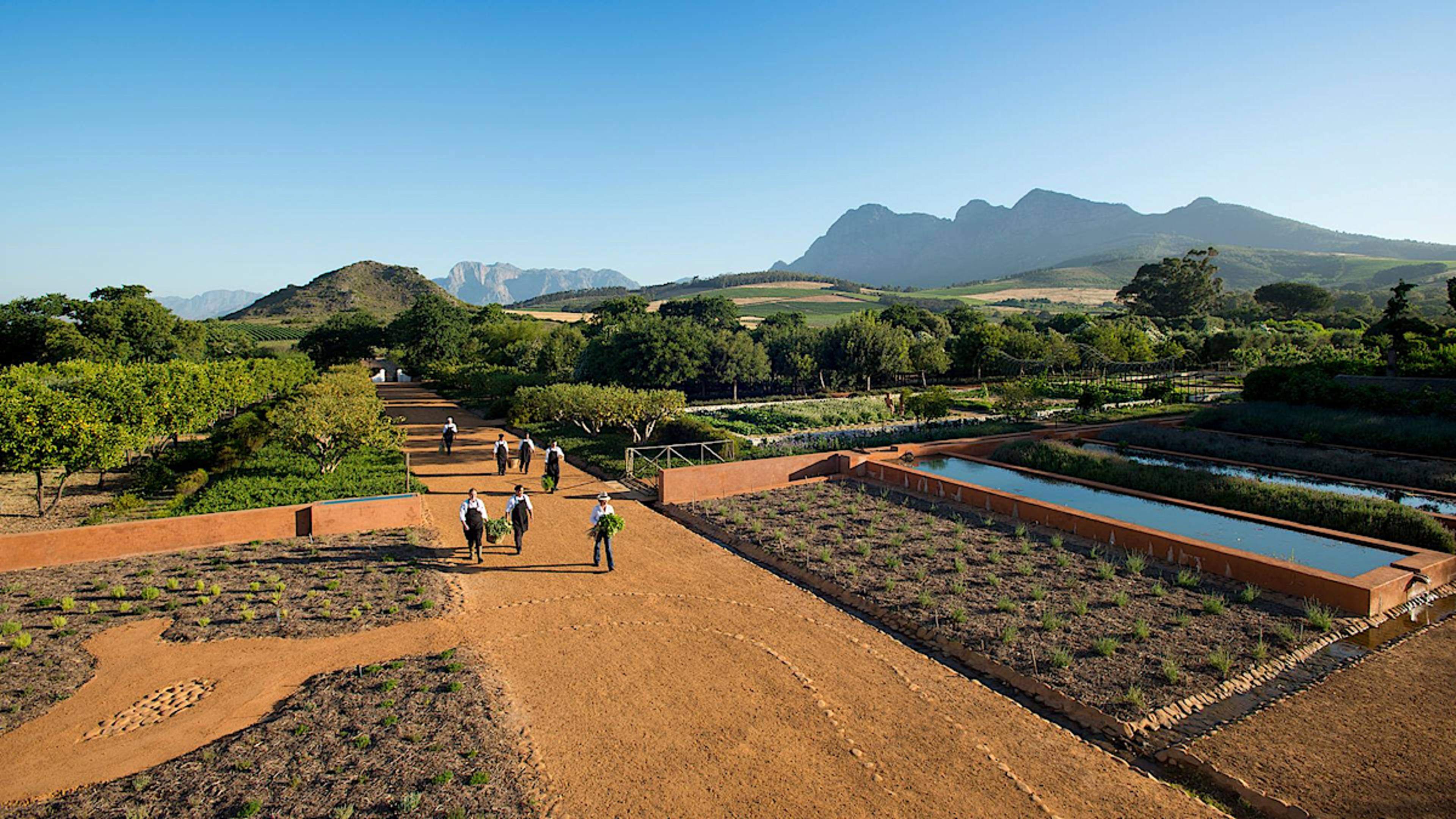 Babylonstoren Garden