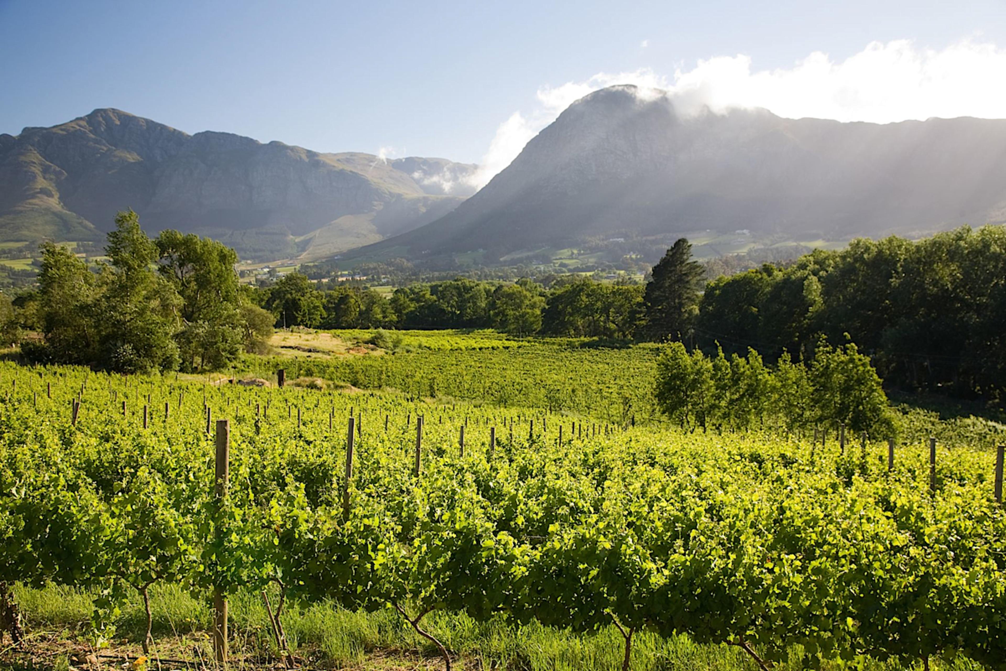 Franschhoek Valley