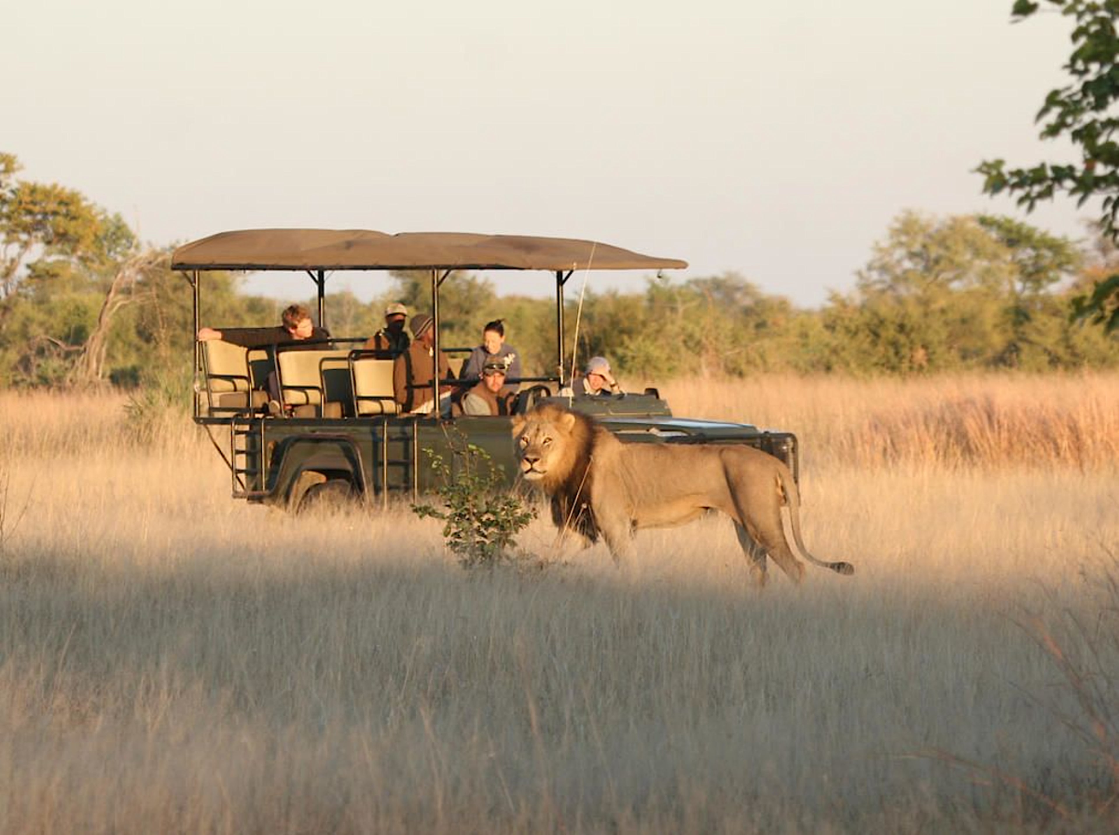 Game Drive